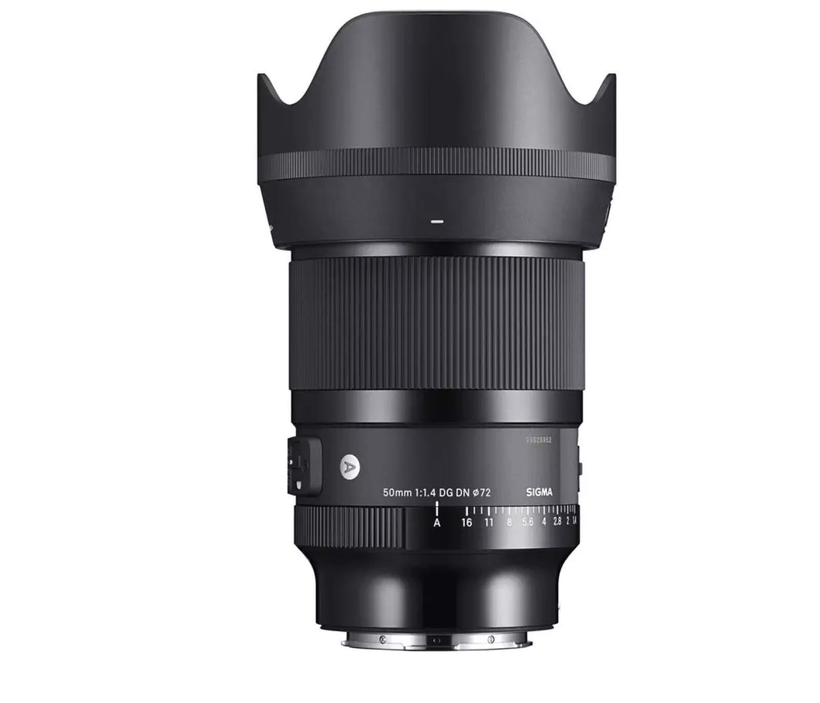 Canon R6 +  Sigma 24 MM f/1.4 - Photo 5 sur 5