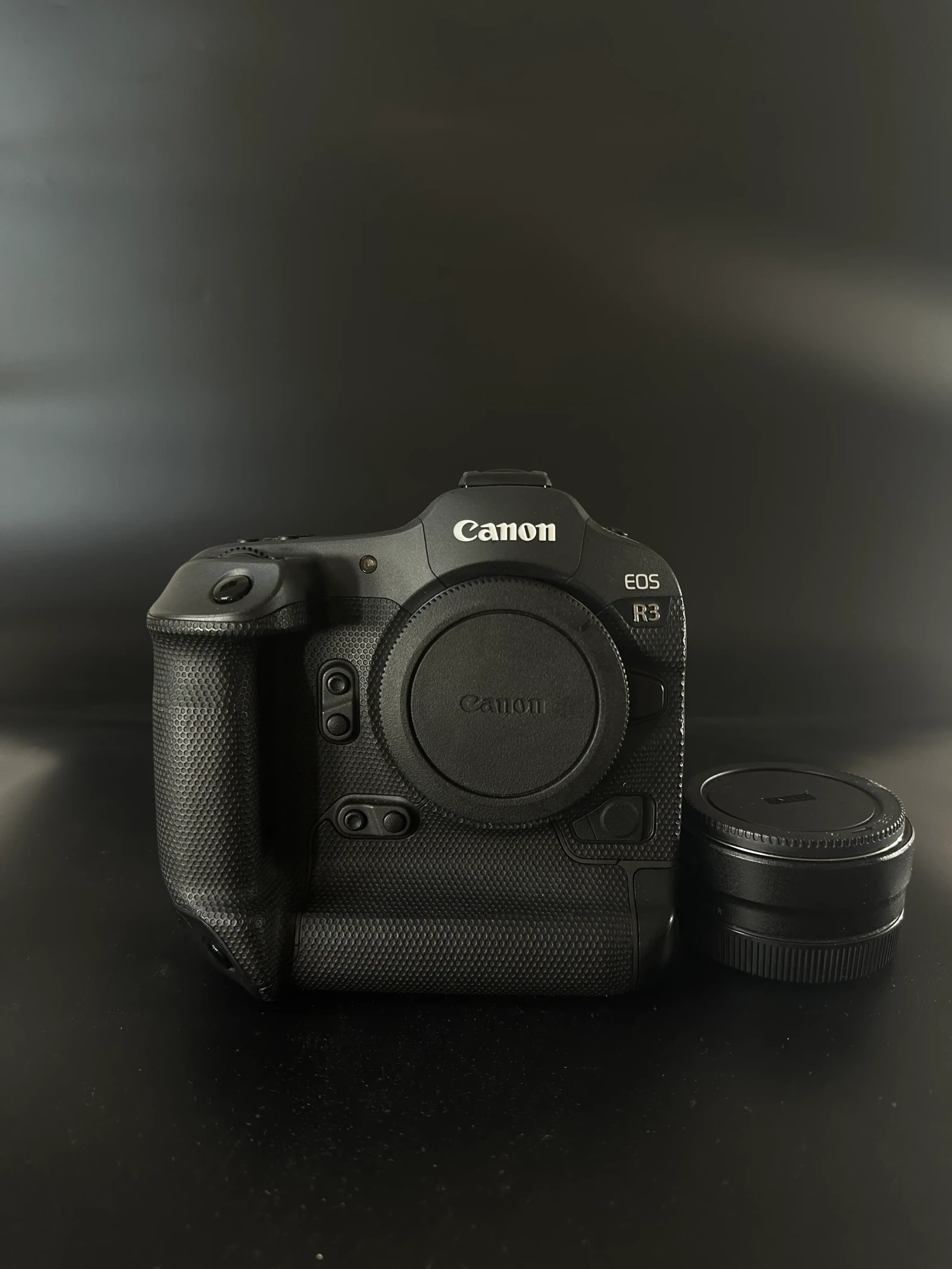 Canon EOS R3 - Photo 4 sur 4