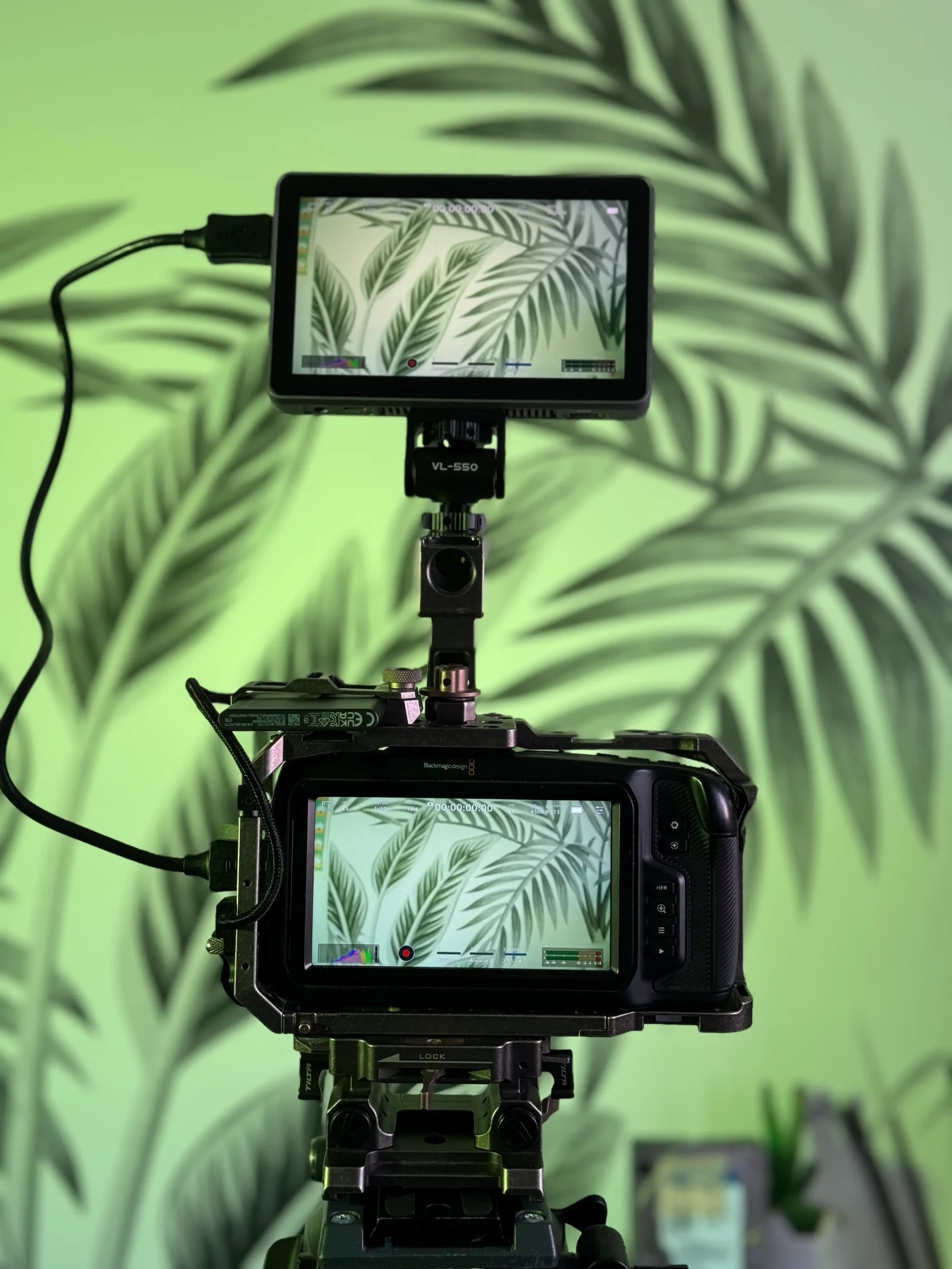 Blackmagic run and gun - Photo 2 sur 4