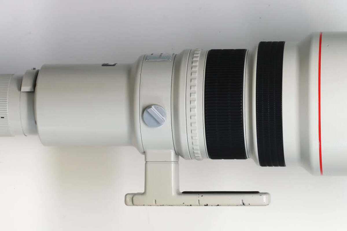 Location Canon 600mm f/4 série L - Lightyshare