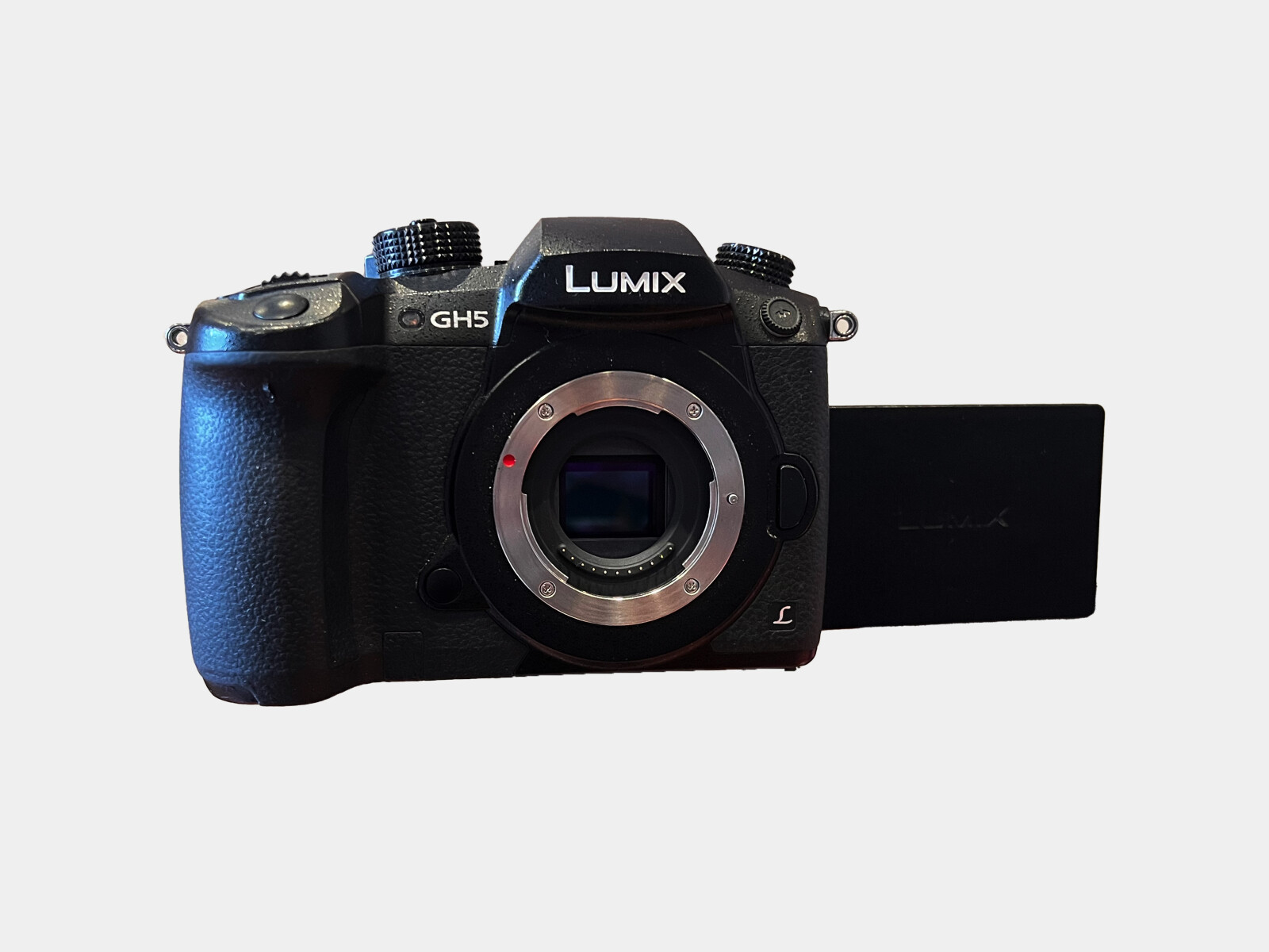 Panasonic LUMIX GH5 - Photo 1 sur 2