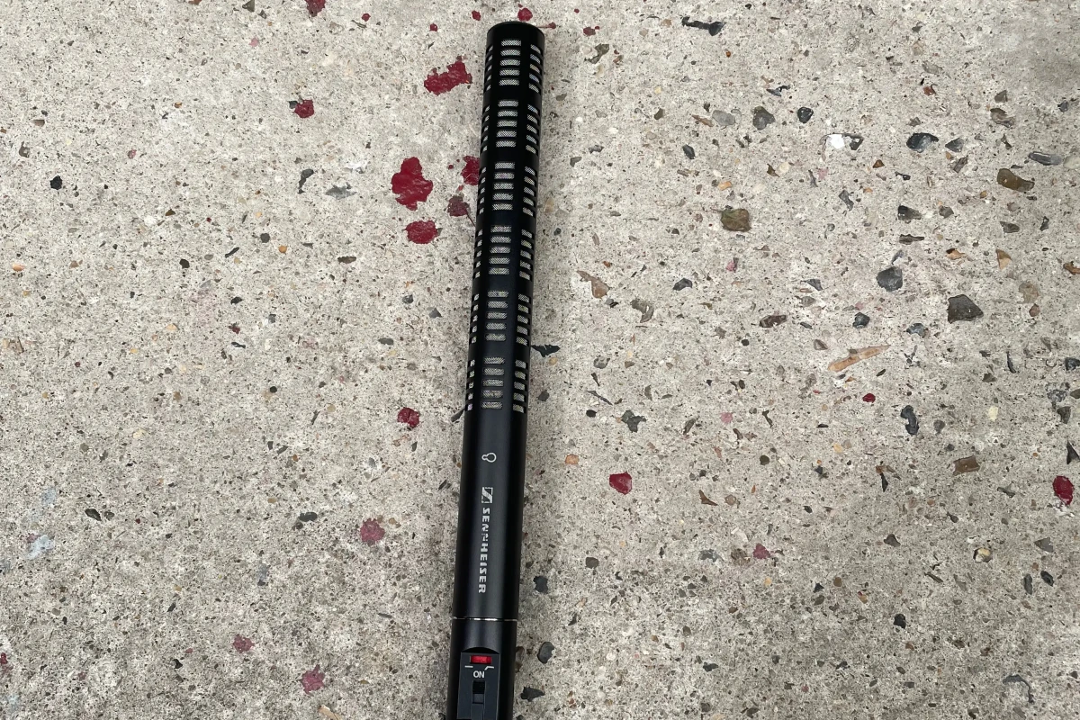 Location Sennheiser ME 66 - Lightyshare