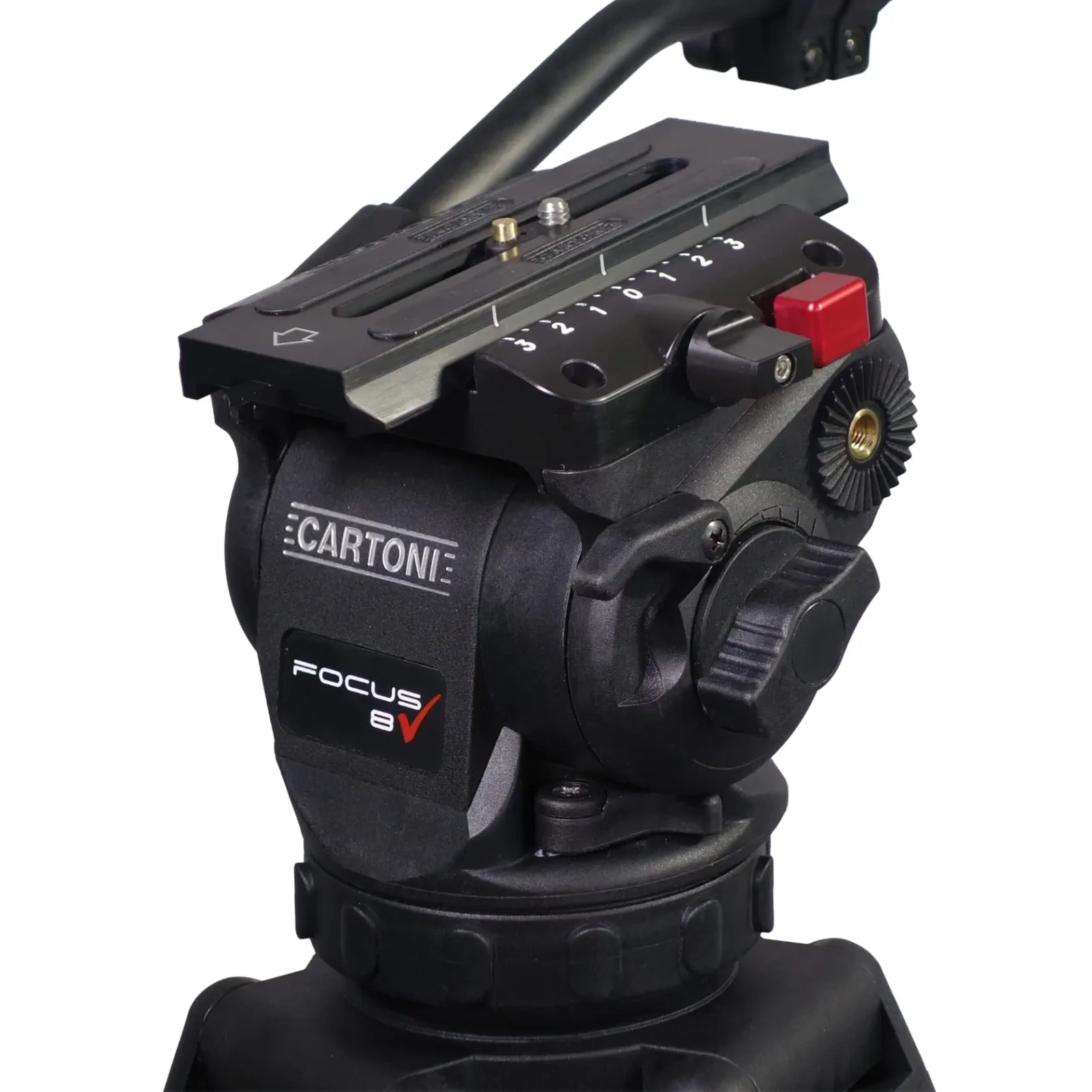 Cartoni Focus 8 - Photo 2 sur 3