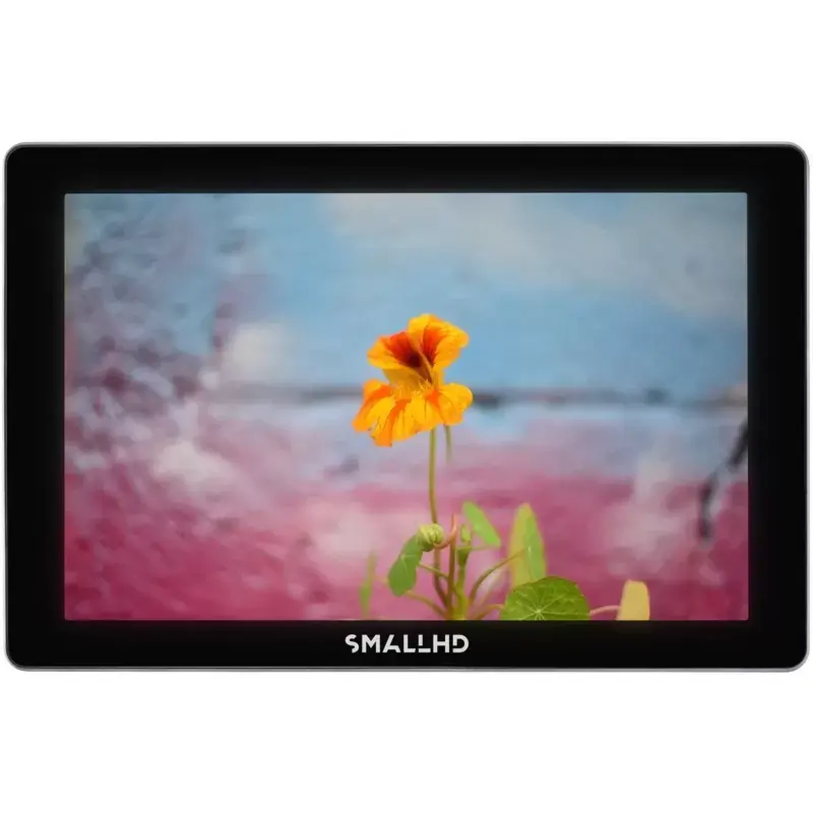 Small HD Indie 7 - Photo 2 sur 3