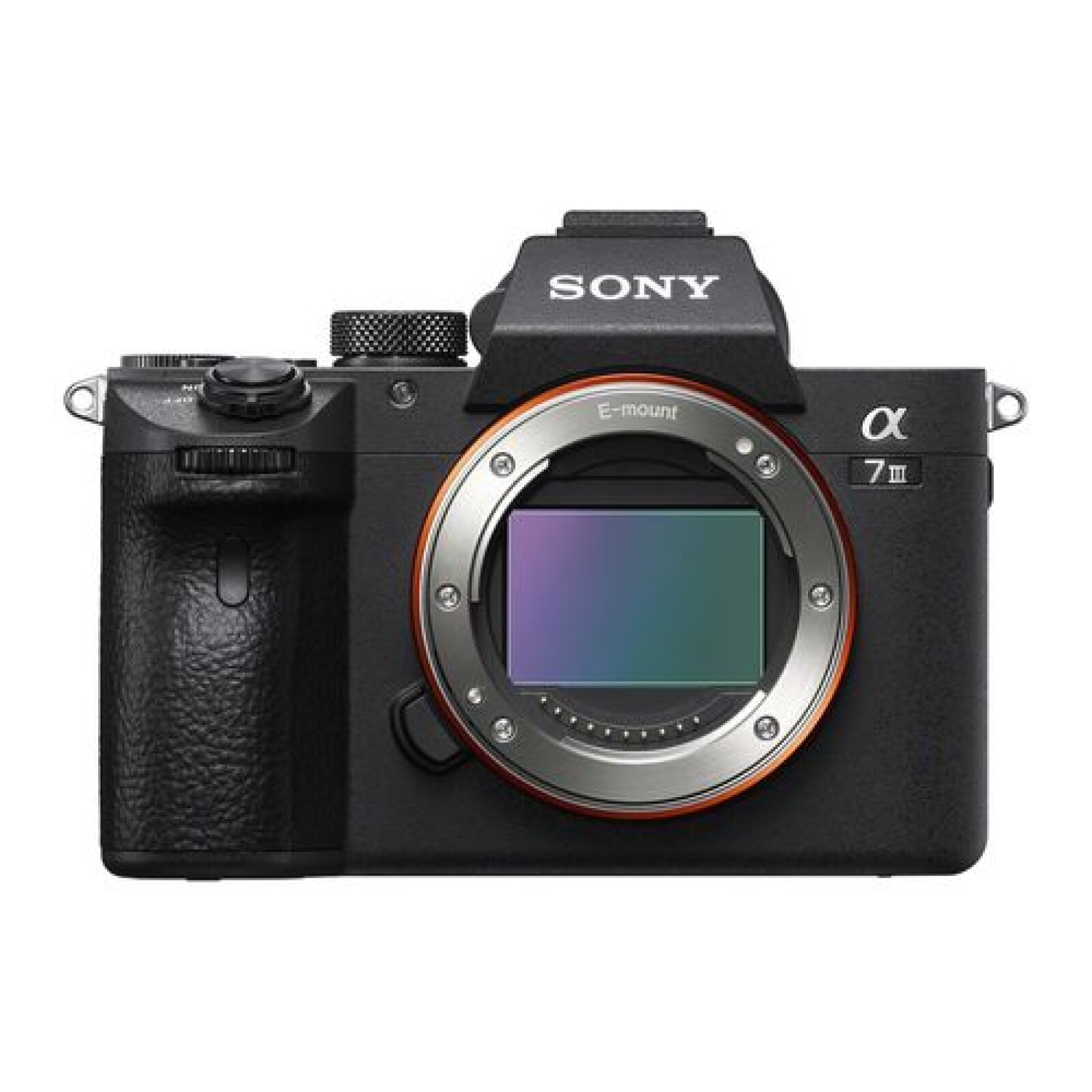Sony Alpha 7S III (A7S3) - Photo 1 sur 1