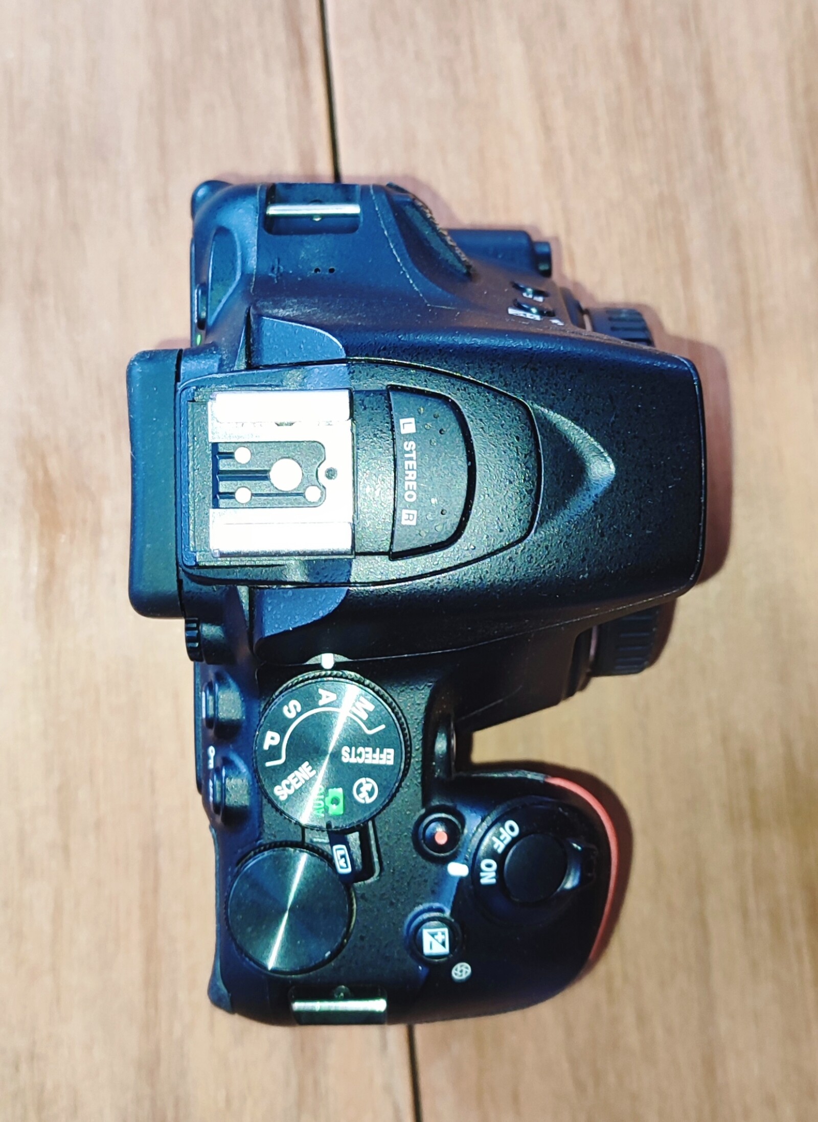 Nikon D5600 - Photo 2 sur 3