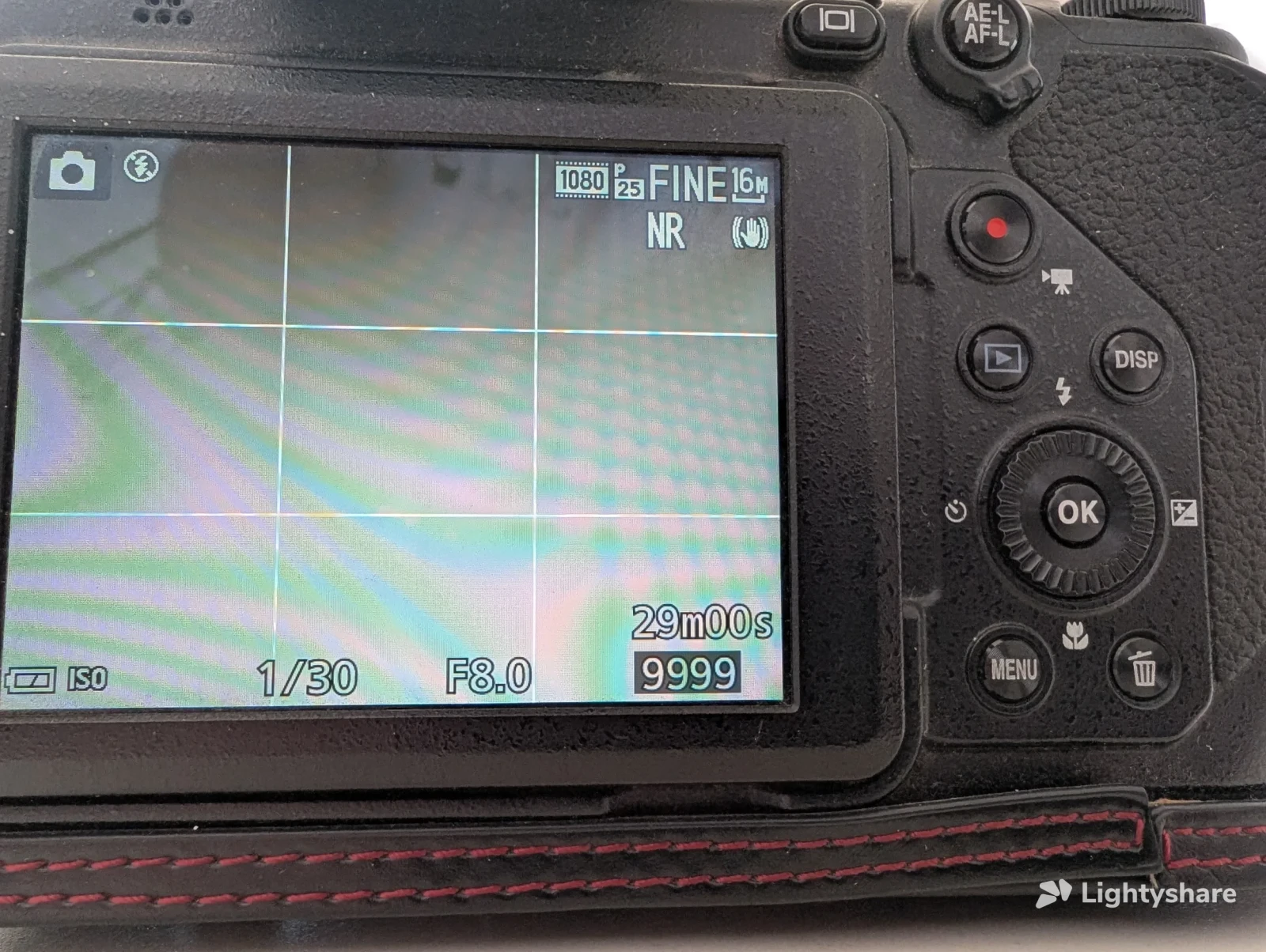 Nikon COOLPIX P1000 - Photo 6 sur 16