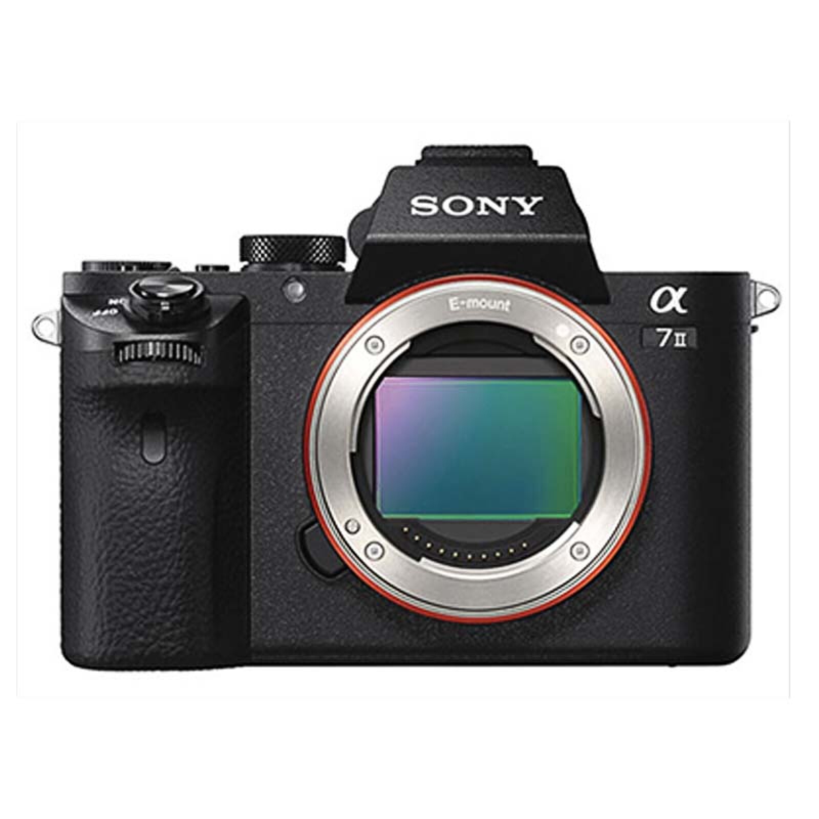 Sony Alpha 7 II (A72) - Photo 5 sur 5