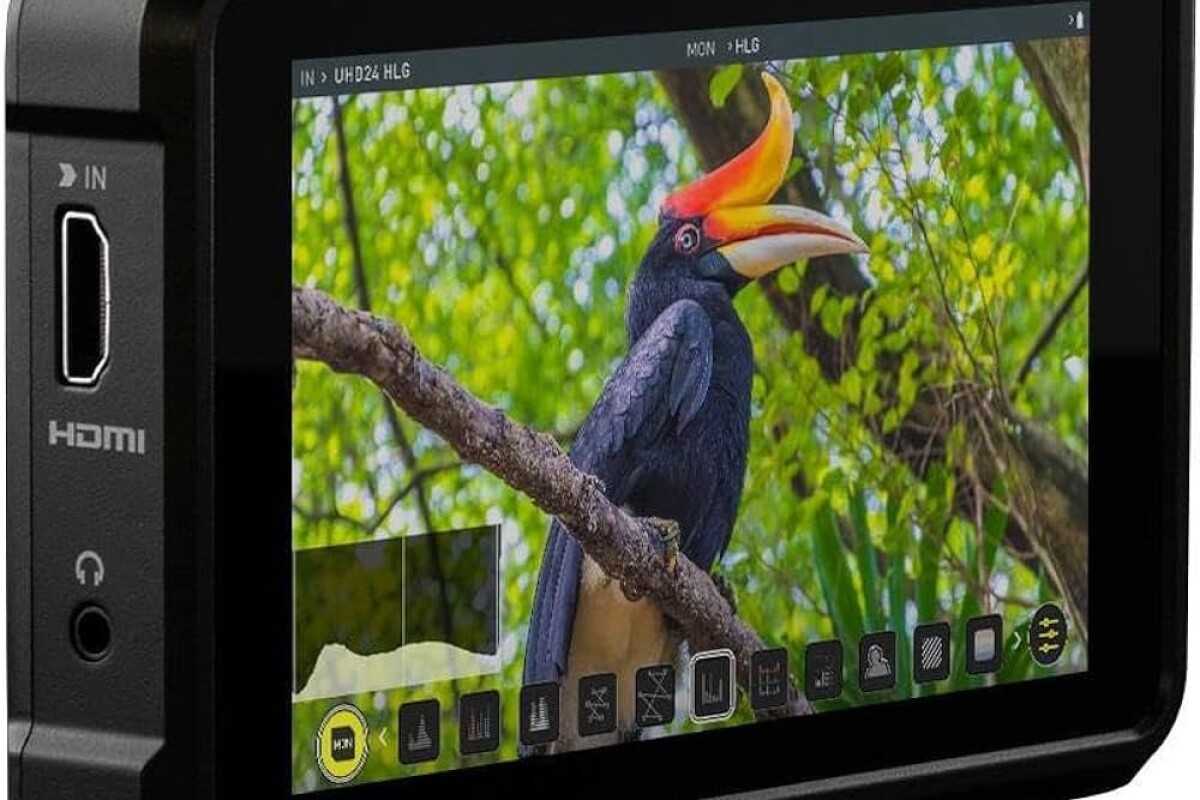 Location Atomos Shinobi - Lightyshare