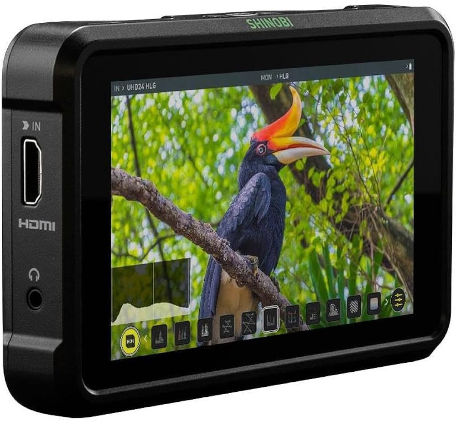 Atomos Shinobi - Photo 1 sur 1