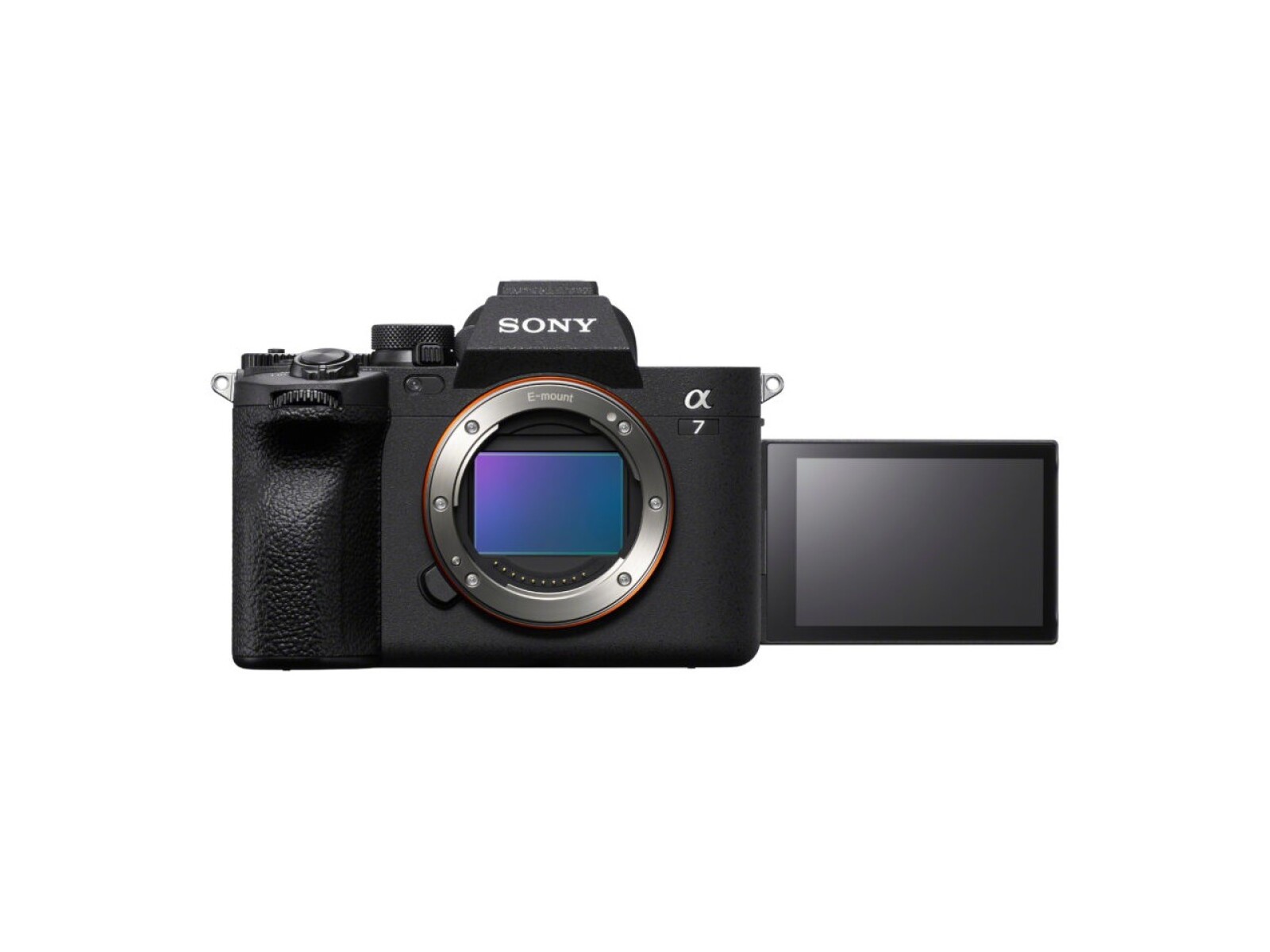 Sony Alpha 7 IV (A74) - Photo 3 sur 3