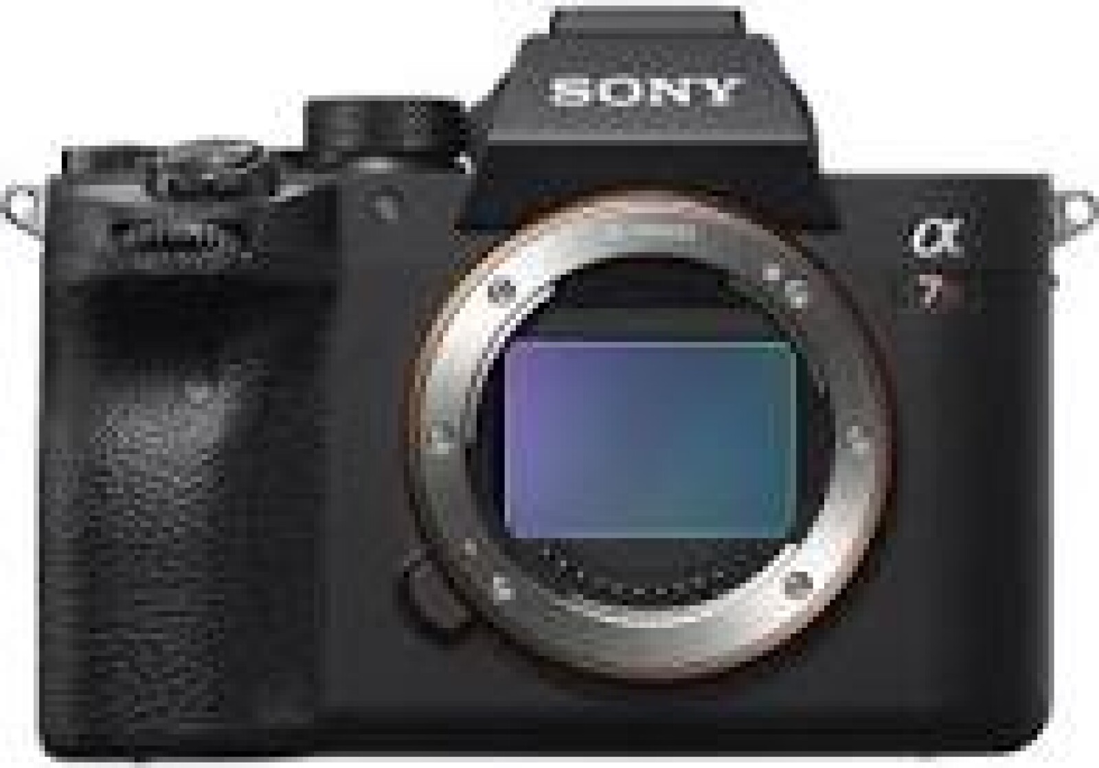 Sony Alpha 7R IV (A7R4) - Photo 2 sur 2