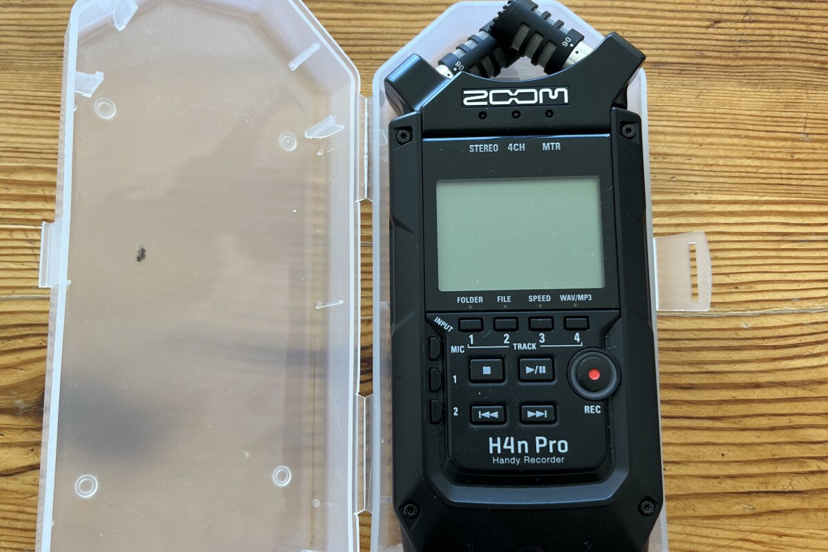 Location Zoom H4n Pro - Lightyshare