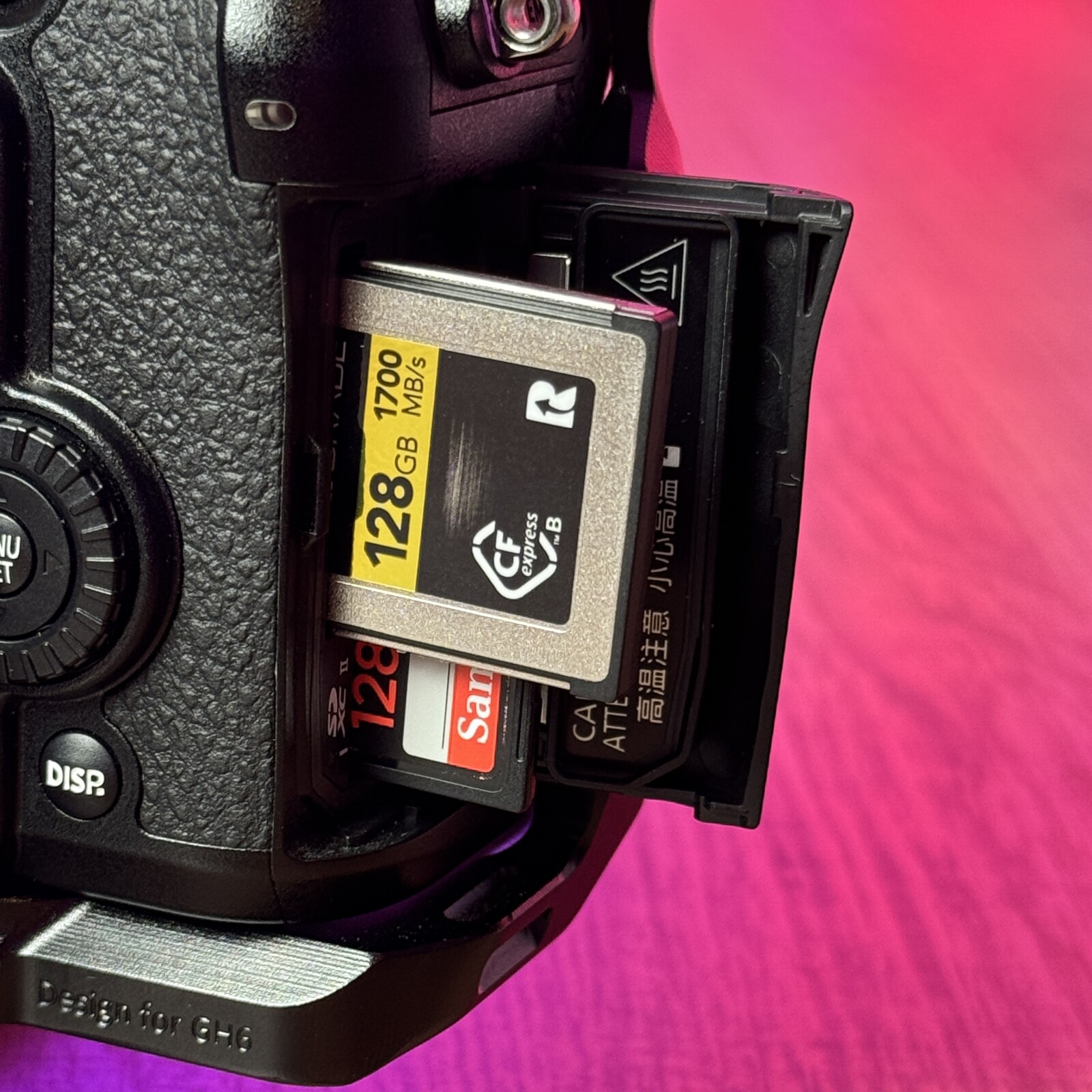Panasonic LUMIX GH5S - Photo 4 sur 5