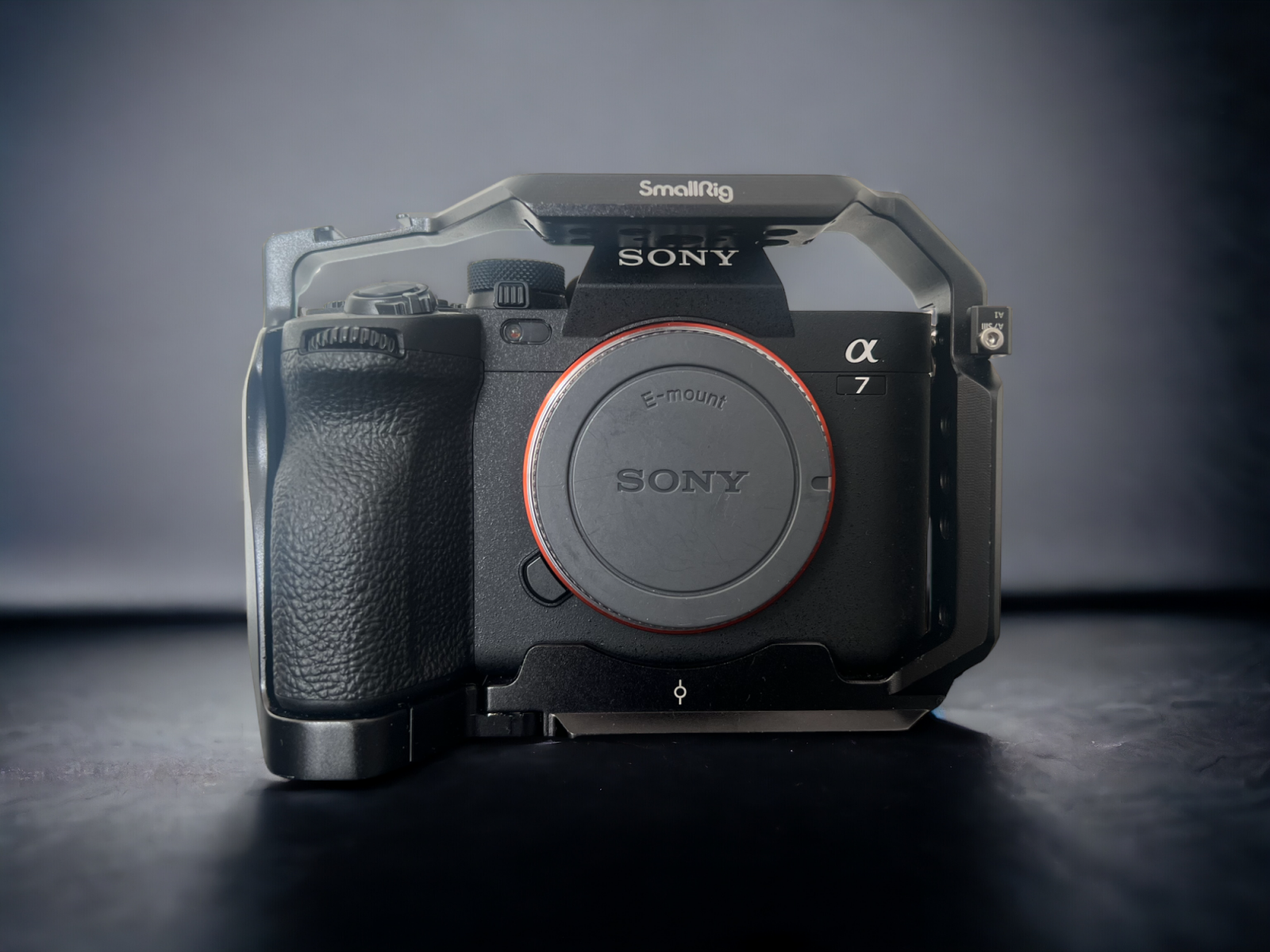 Sony Alpha 7 IV (A74) - Photo 2 sur 3