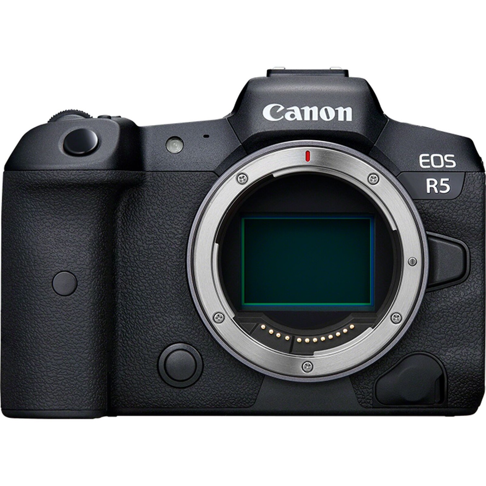 Canon EOS R5 - Photo 1 sur 5
