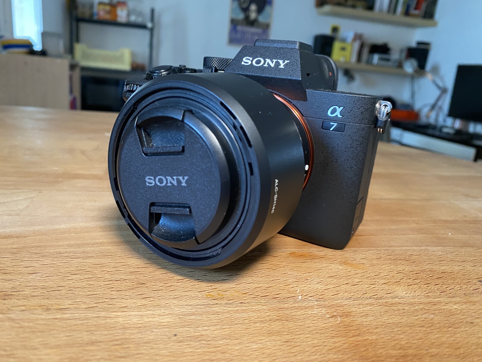 Sony Alpha 7 IV (A74) - Photo 1 sur 4