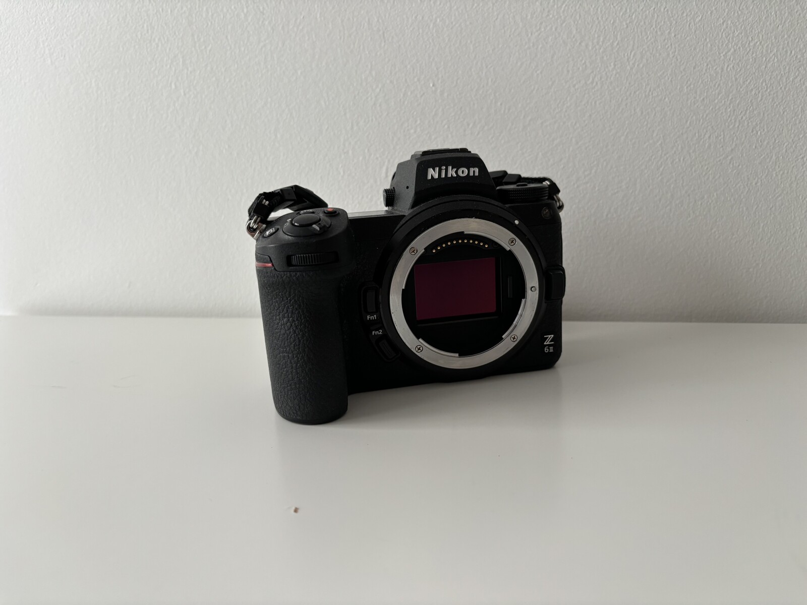 Nikon Z6 II - Photo 1 sur 2