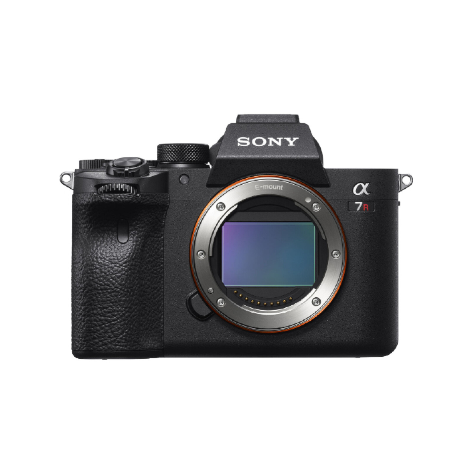 Sony Alpha 7R IV (A7R4) - Photo 1 sur 1