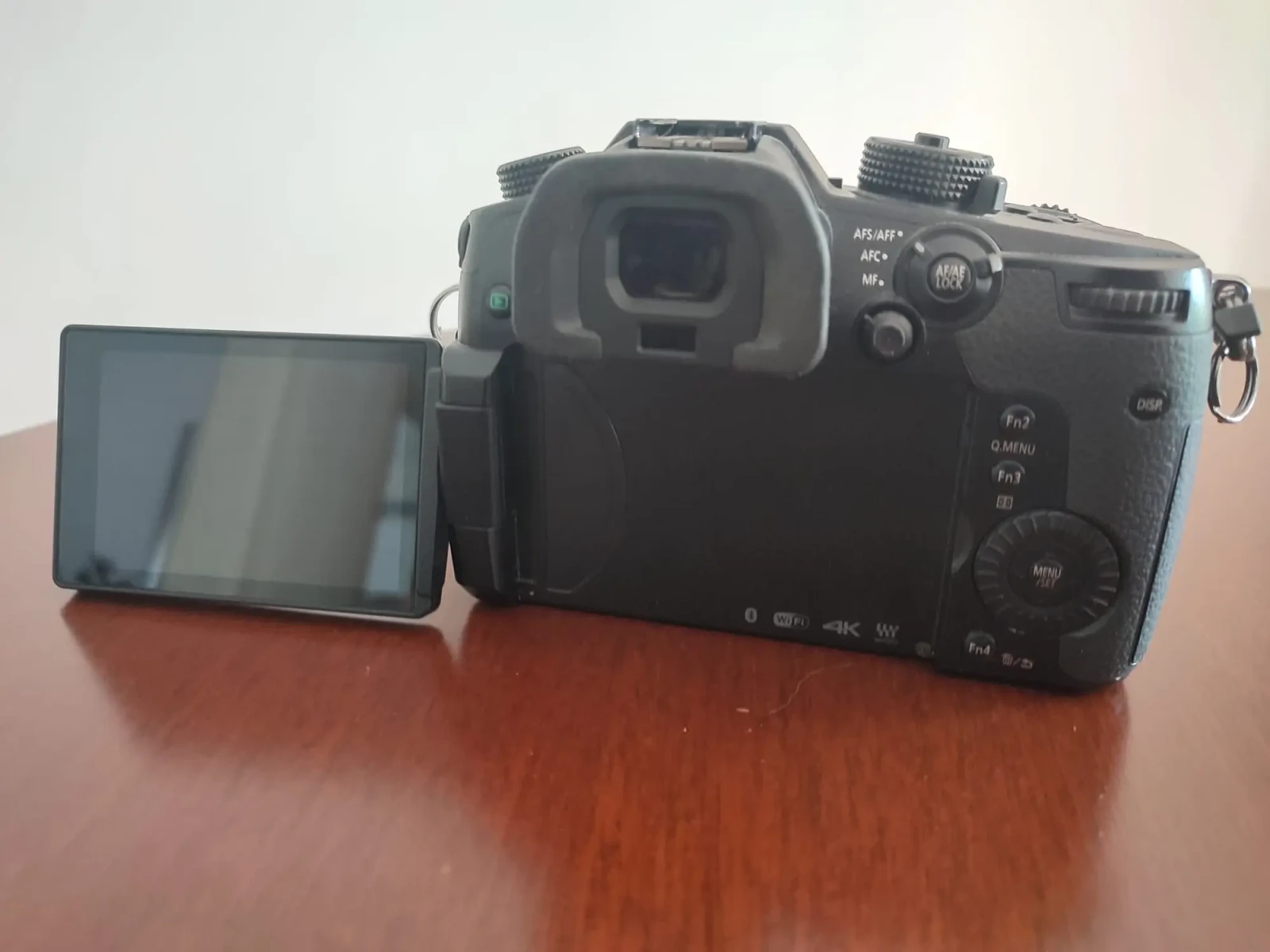 Panasonic LUMIX GH5 - Photo 3 sur 5