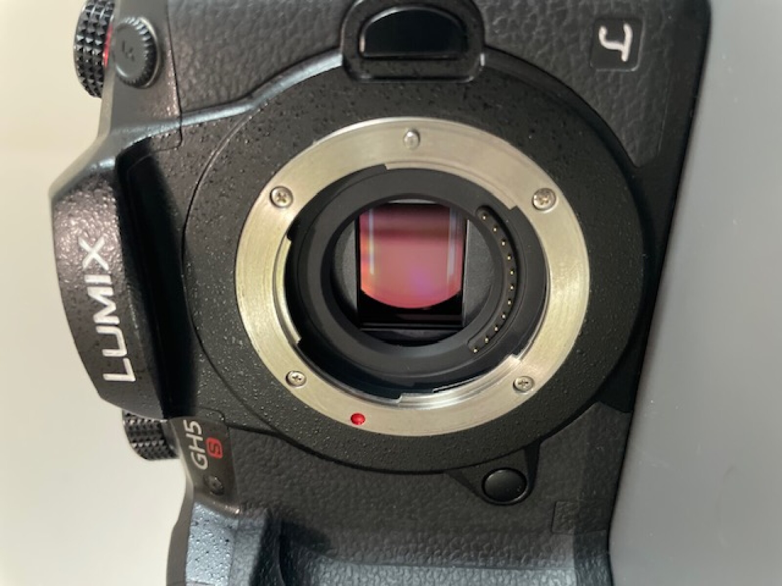 Panasonic LUMIX GH5S - Photo 2 sur 5