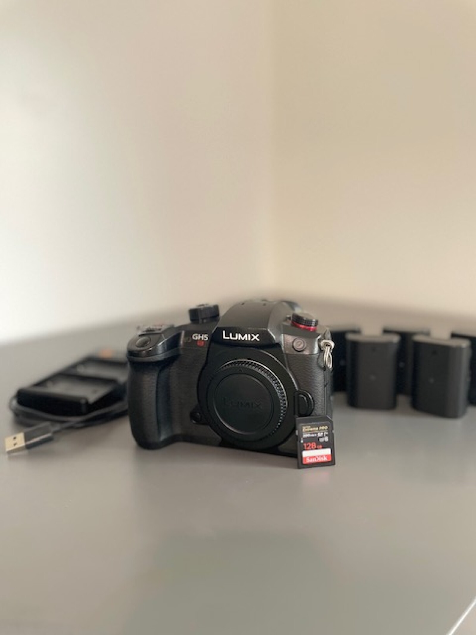 GH5S PACK RUN&GUN - Photo 3 sur 3