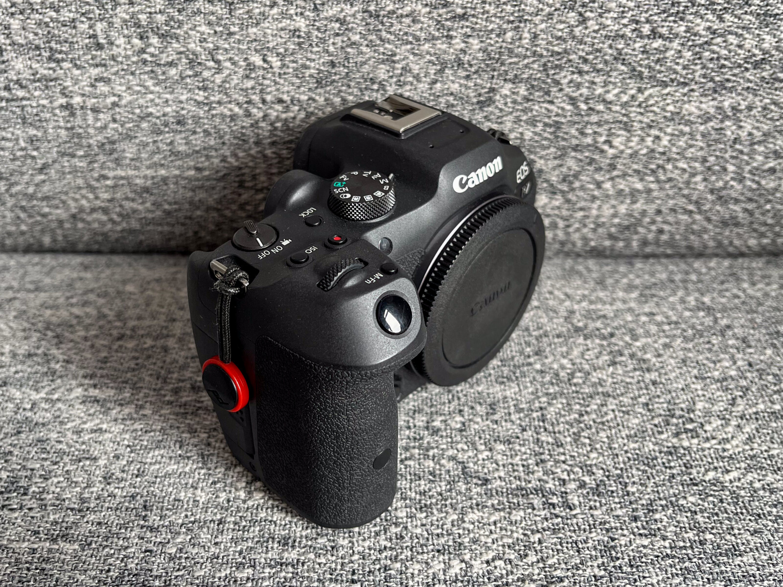 Canon EOS R7 - Photo 3 sur 4