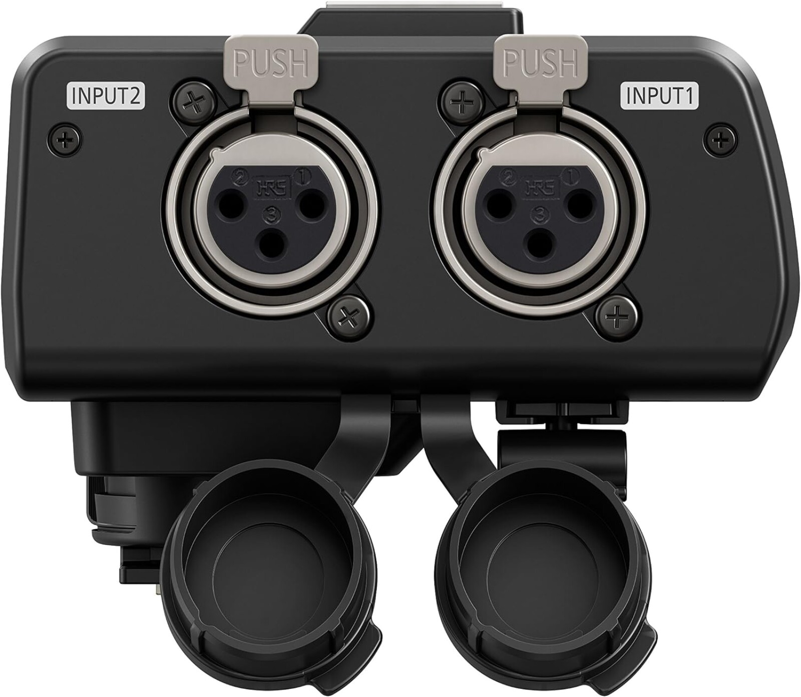 Panasonic DMW-XLR1 - Photo 5 sur 5