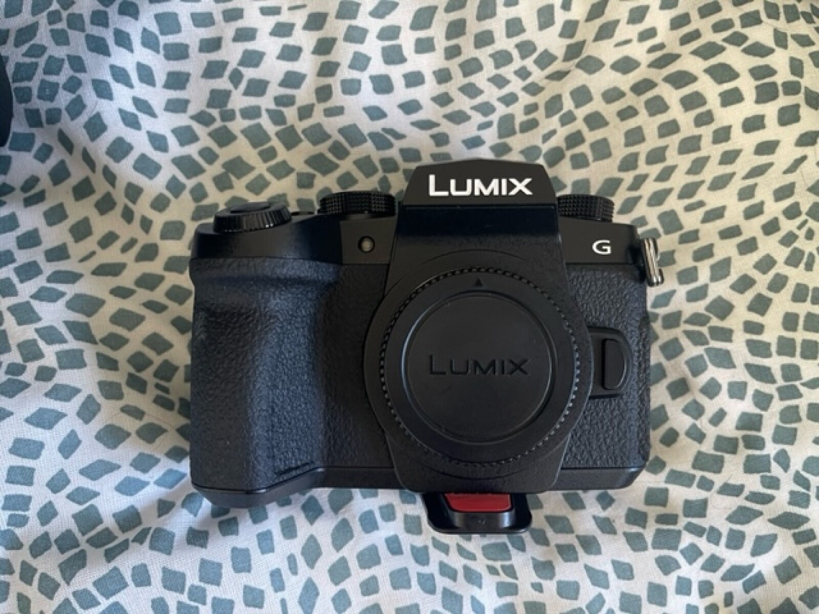 Panasonic G90 - Photo 2 sur 4