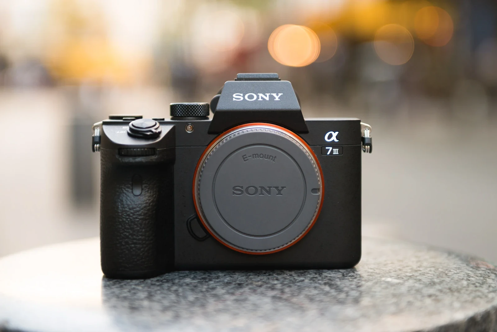 Sony Alpha 7 III (A73) - Photo 2 sur 2