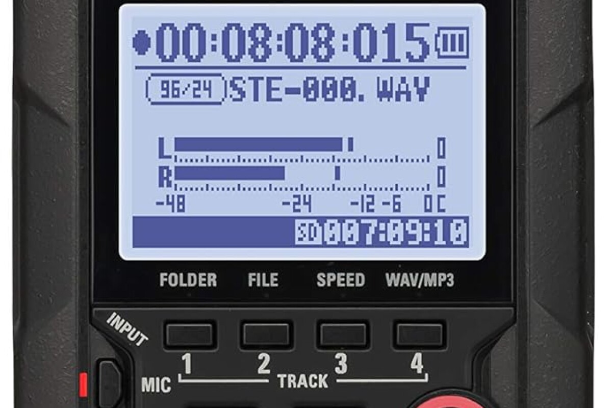 Location Zoom H4n Pro Black - Lightyshare