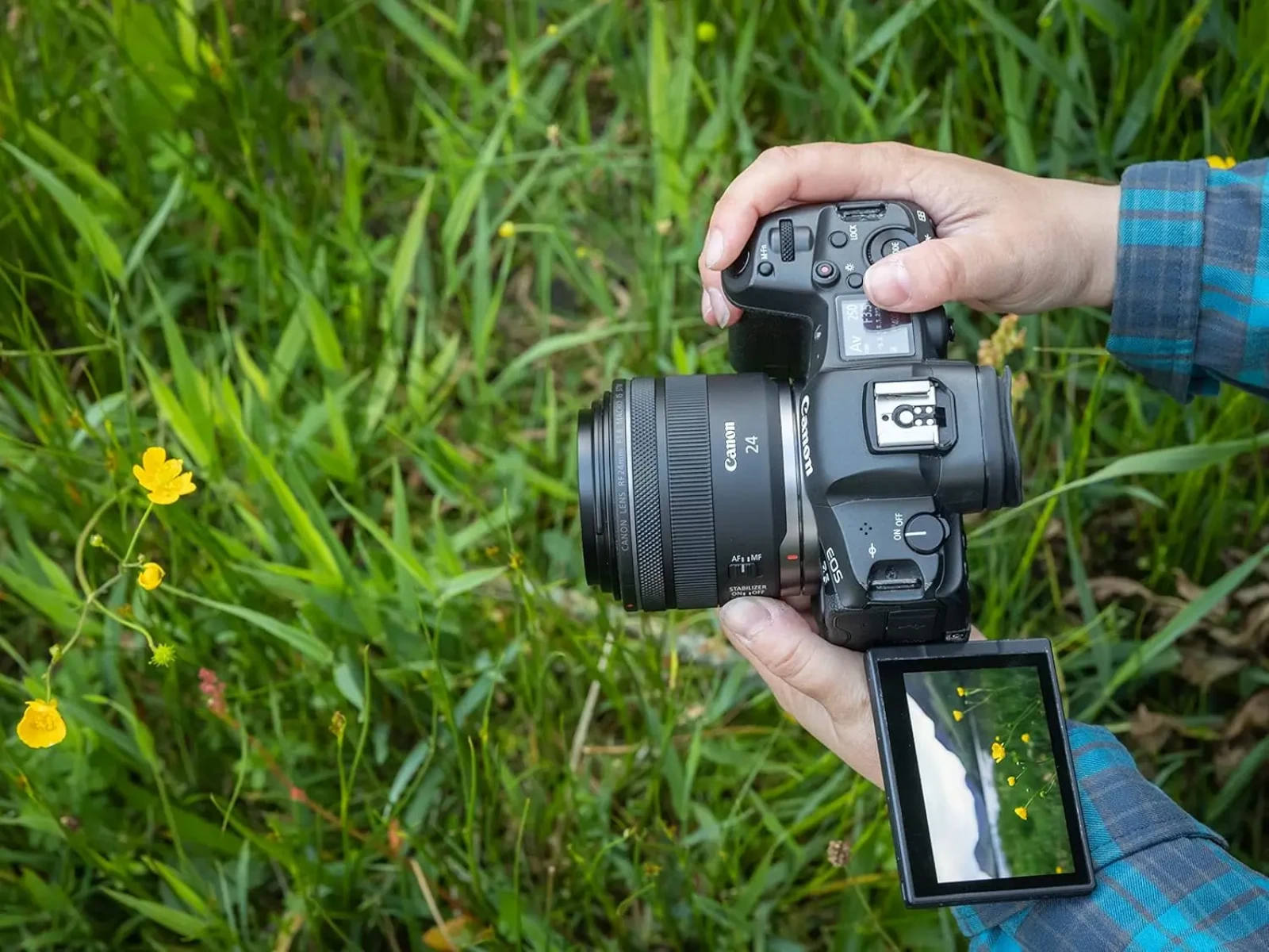 Canon 24mm F/1.8 MACRO IS STM - Photo 6 sur 8