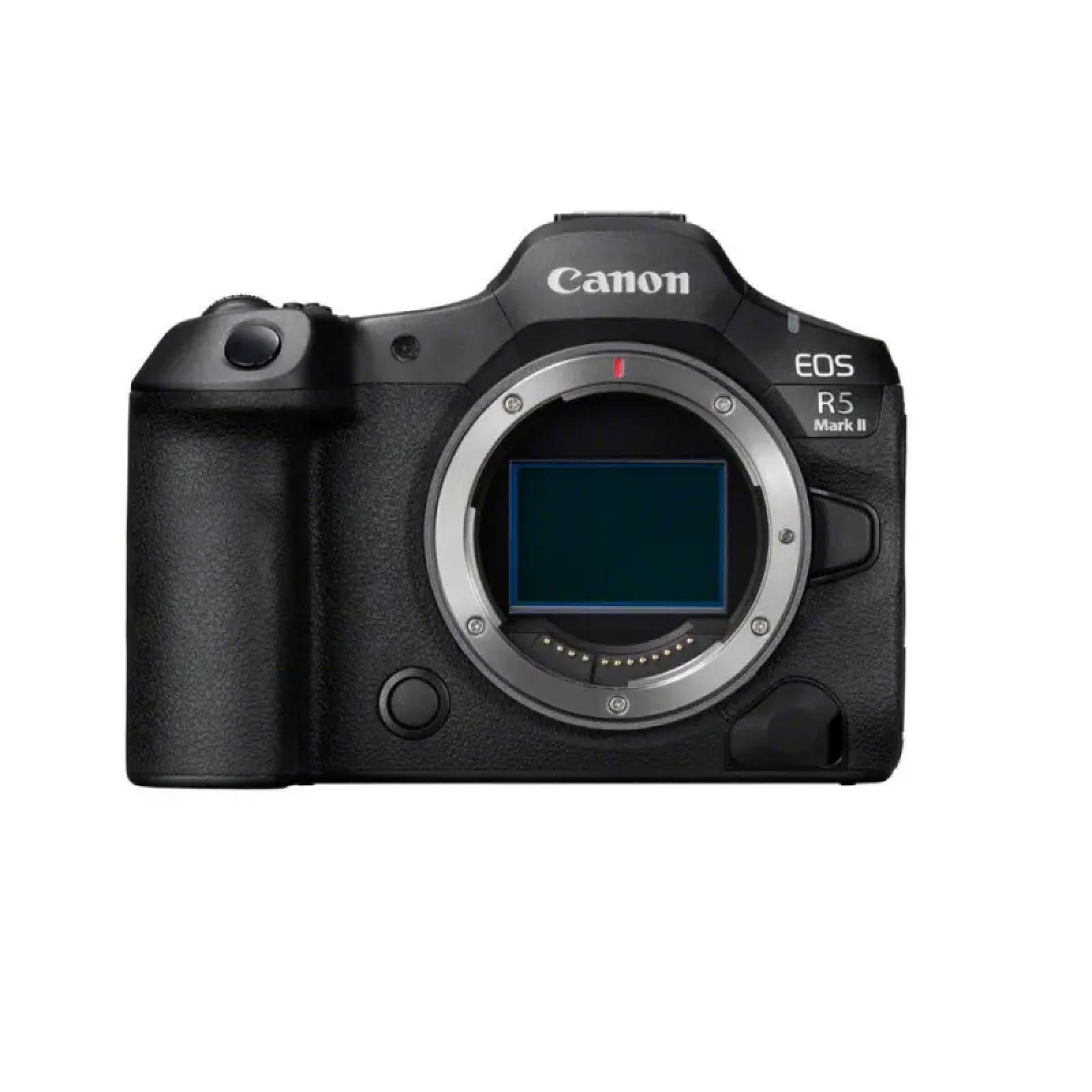 Canon R5 Mark II - Photo 2 sur 6