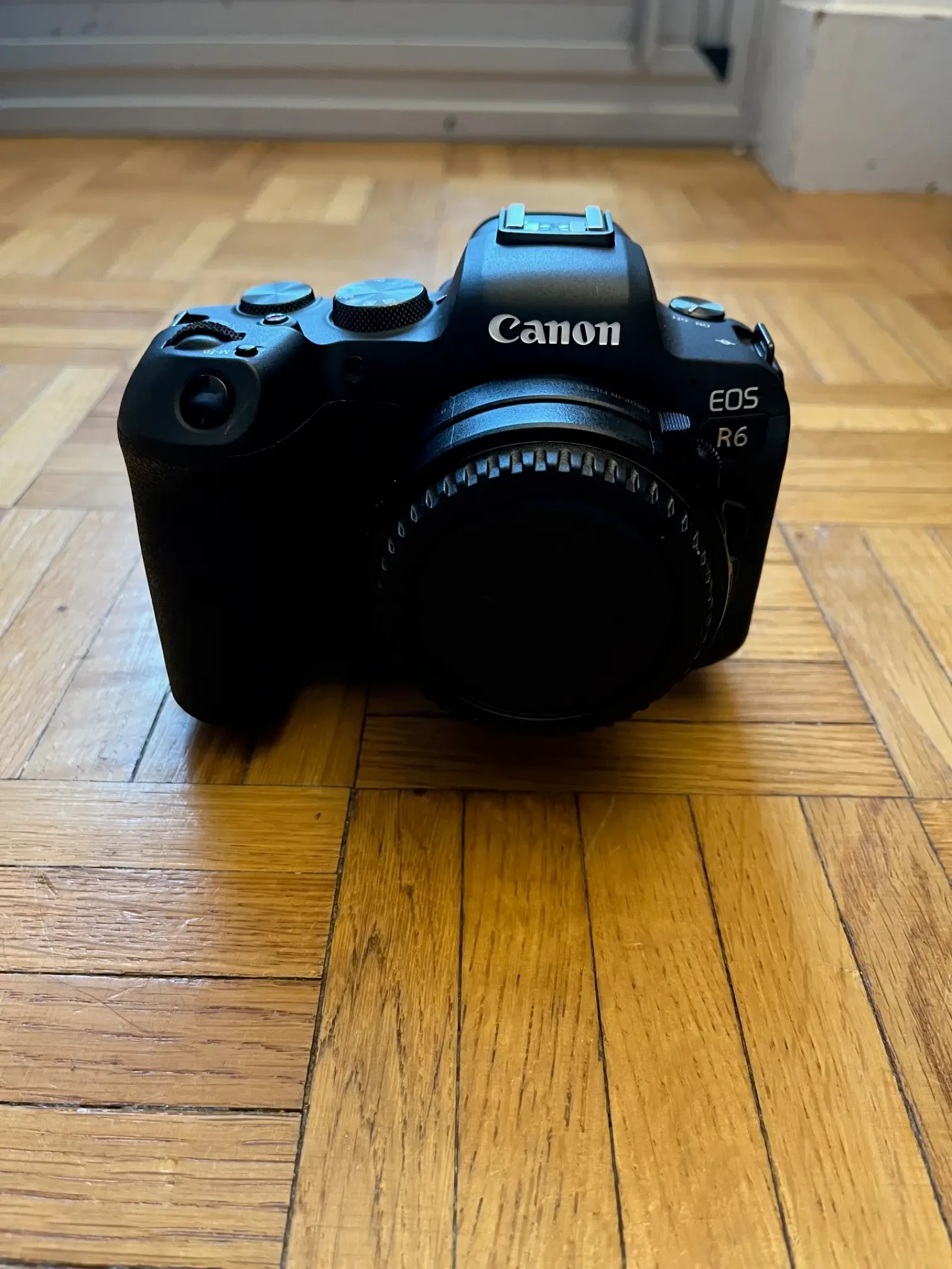 Canon R6 - Photo 1 sur 2