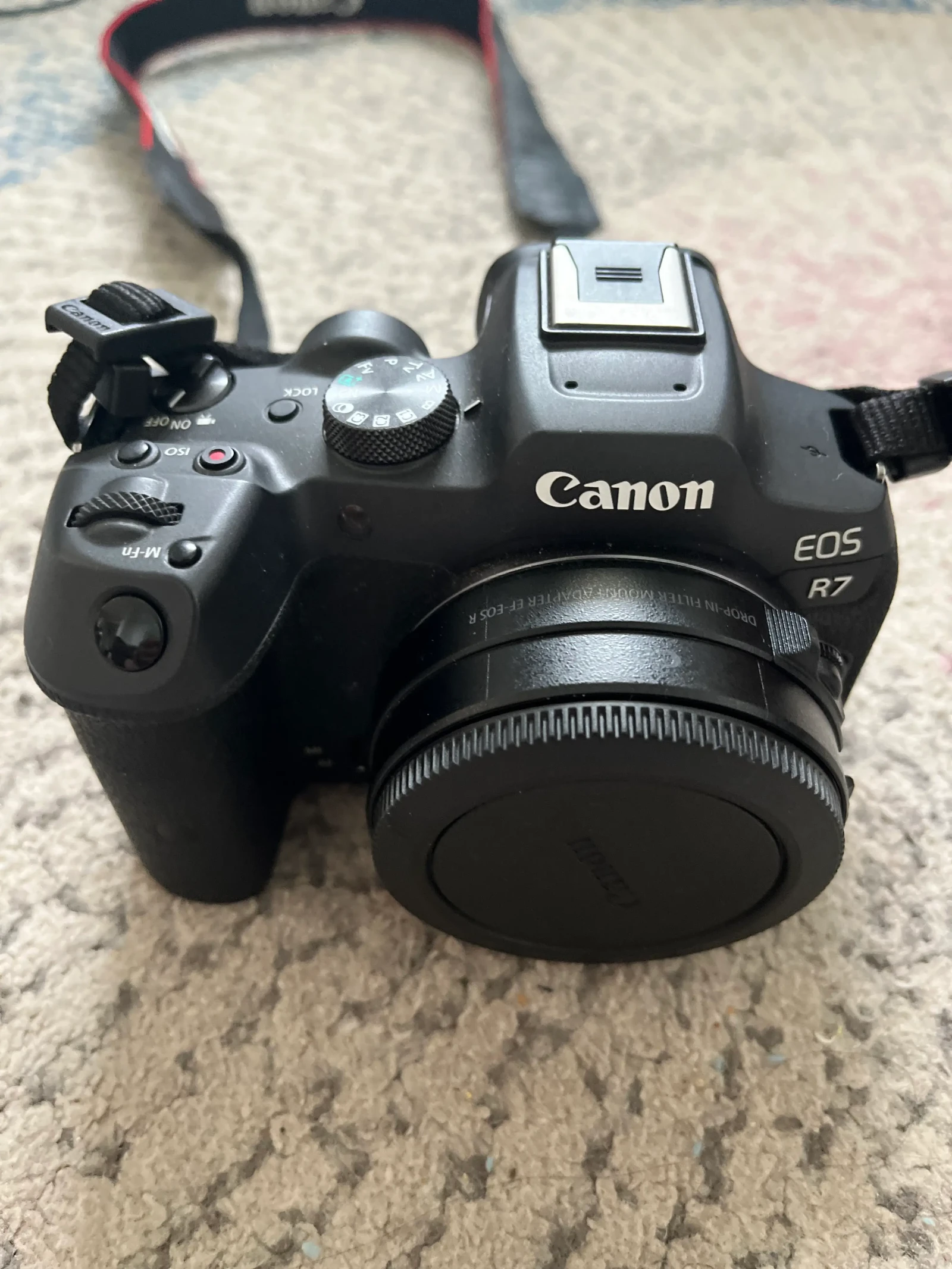 Canon EOS R7 - Photo 1 sur 2