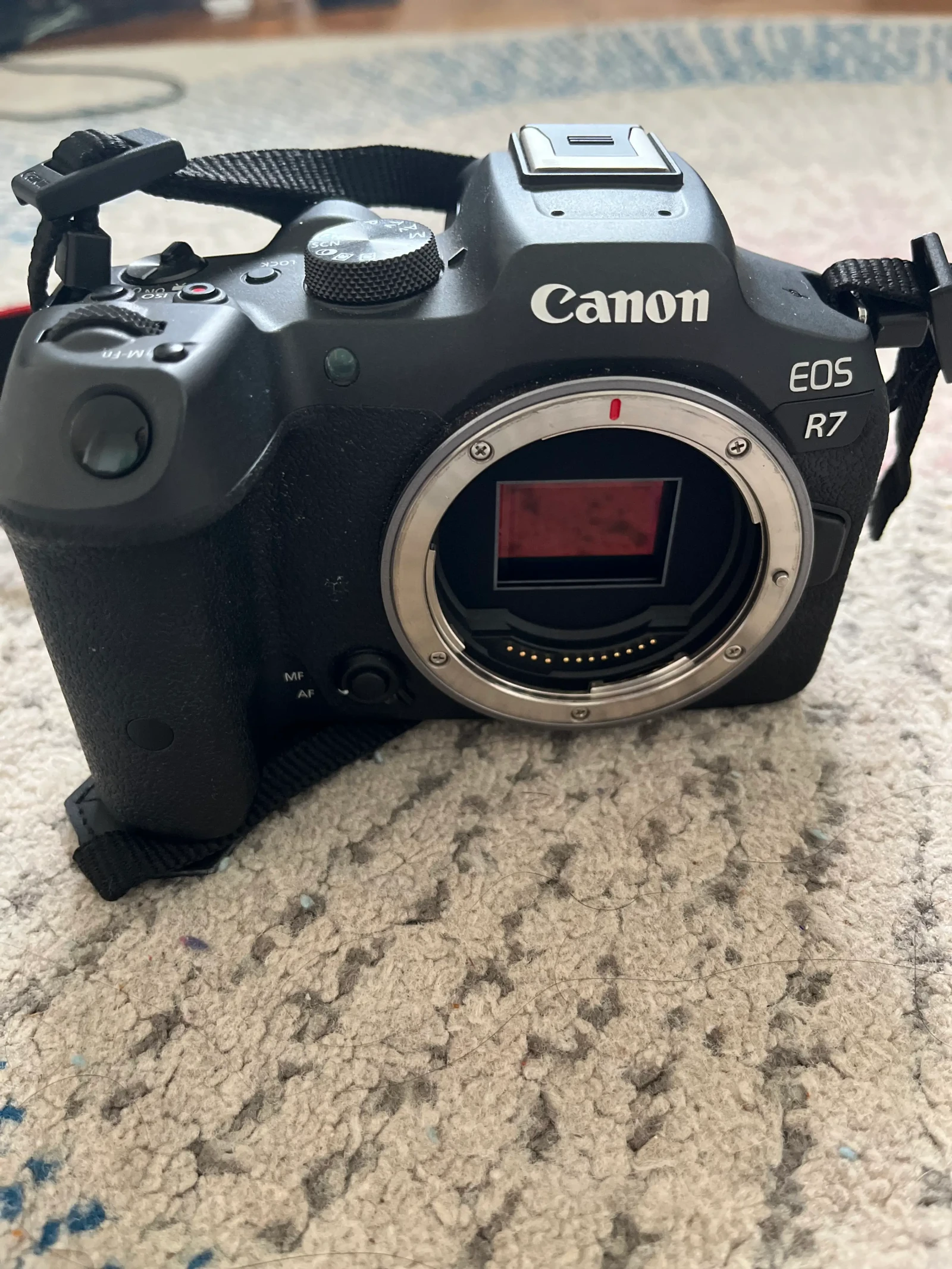 Canon EOS R7 - Photo 2 sur 2
