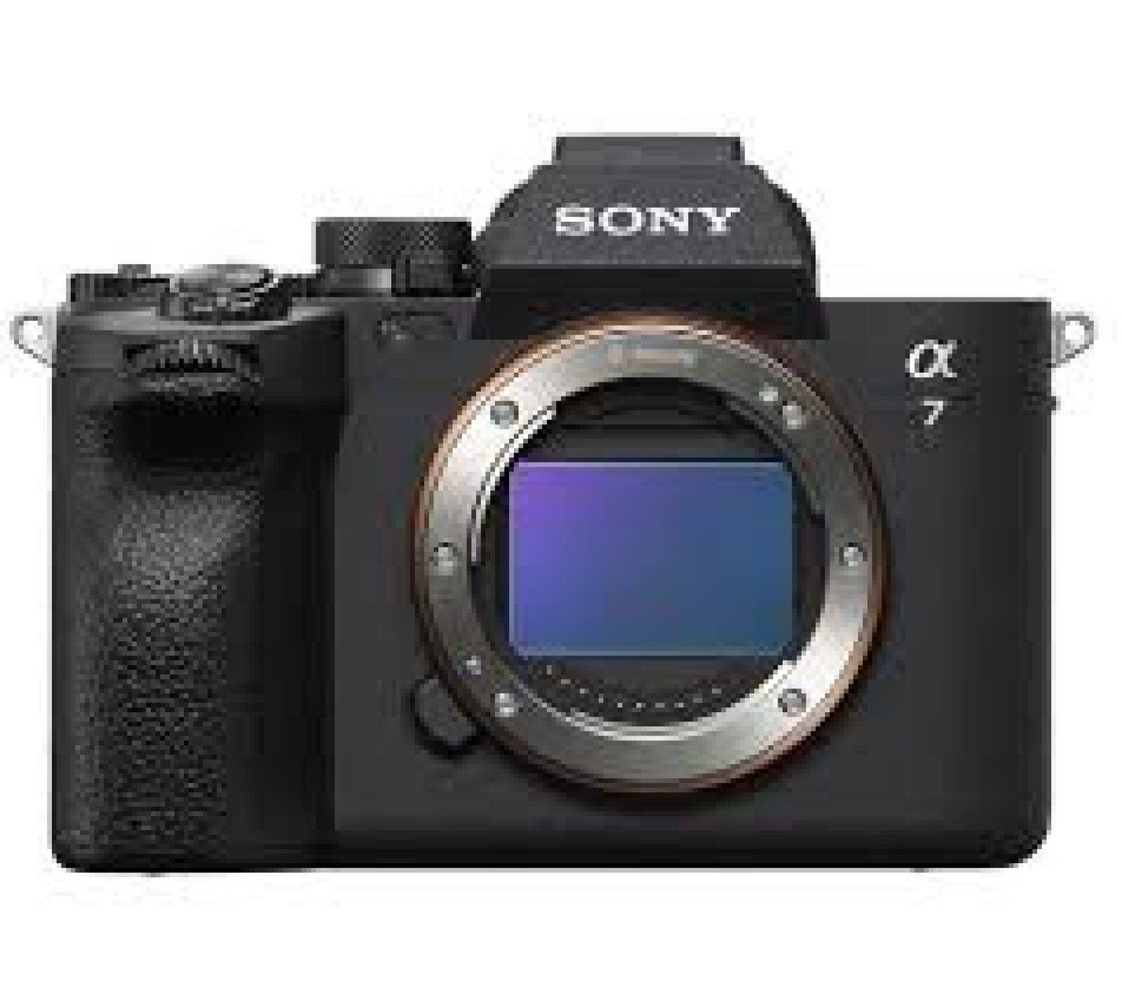 Sony Alpha 7 IV (A74) - Photo 1 sur 1