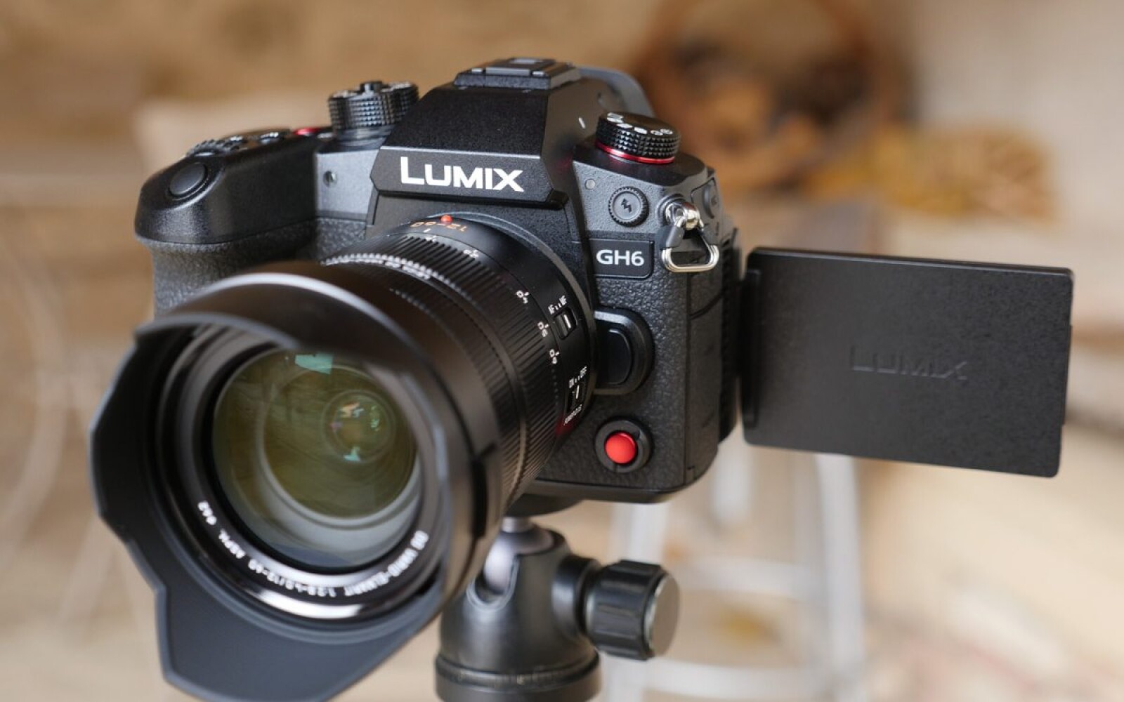 Panasonic LUMIX GH5S - Photo 1 sur 1