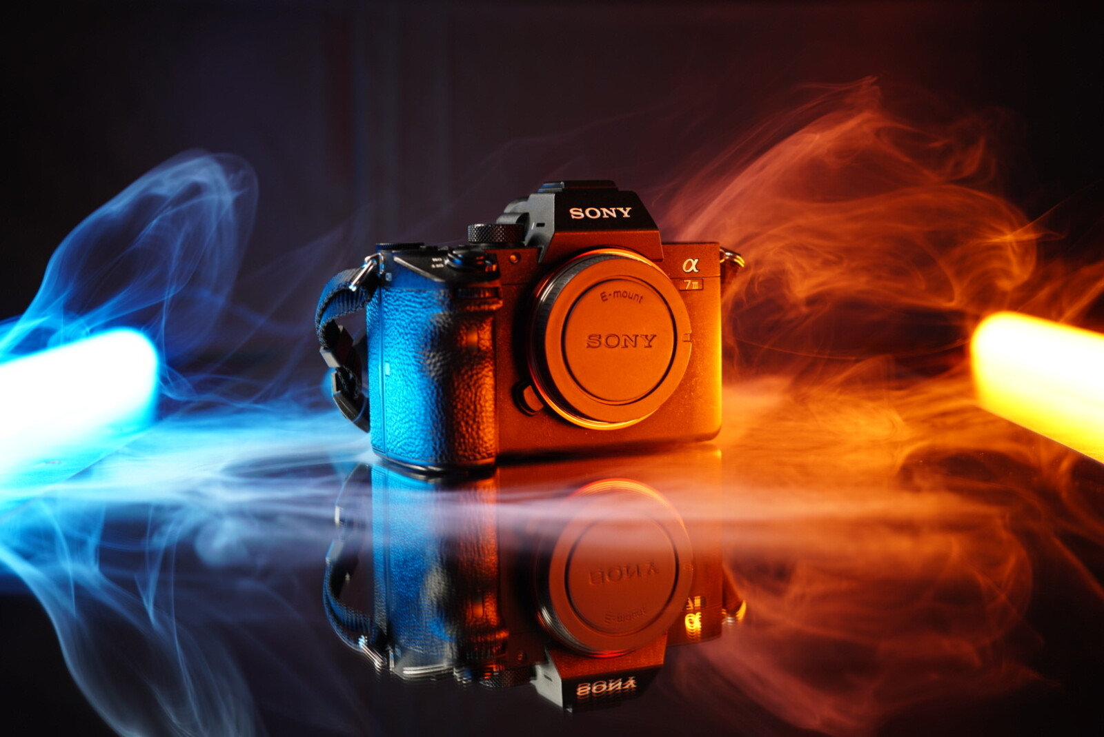 Sony Alpha 7 III (A73) - Photo 1 sur 4