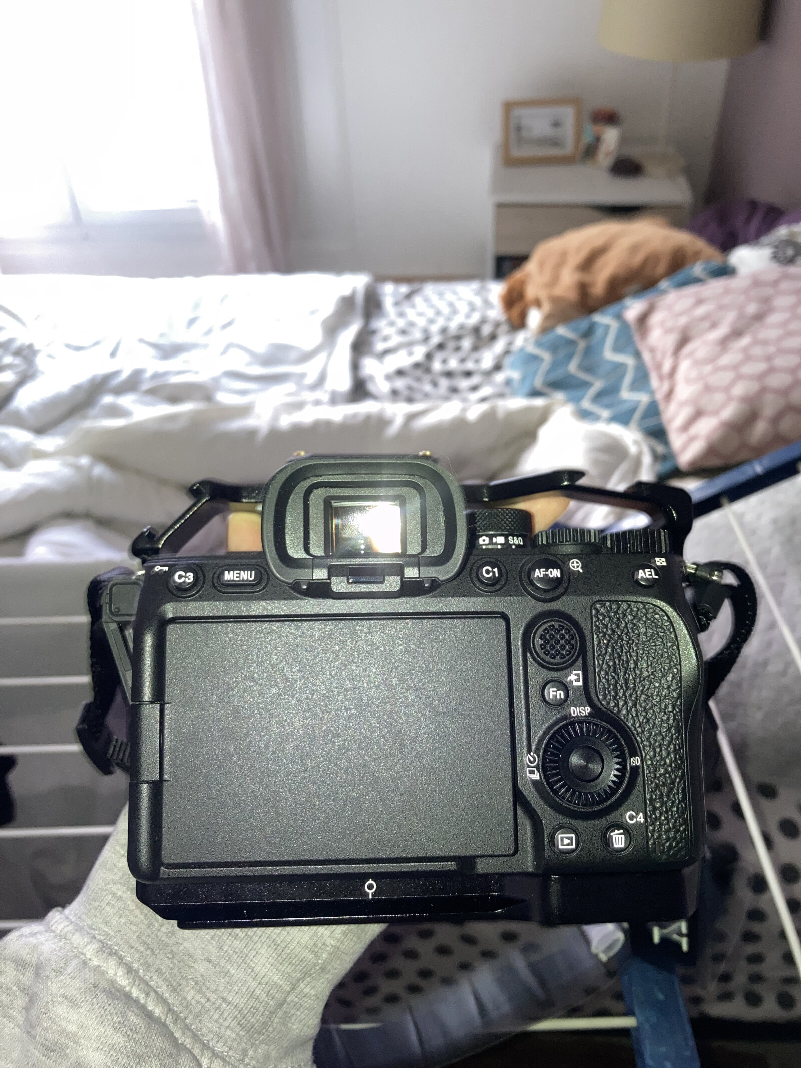 Sony Alpha 7 IV (A74) - Photo 1 sur 2