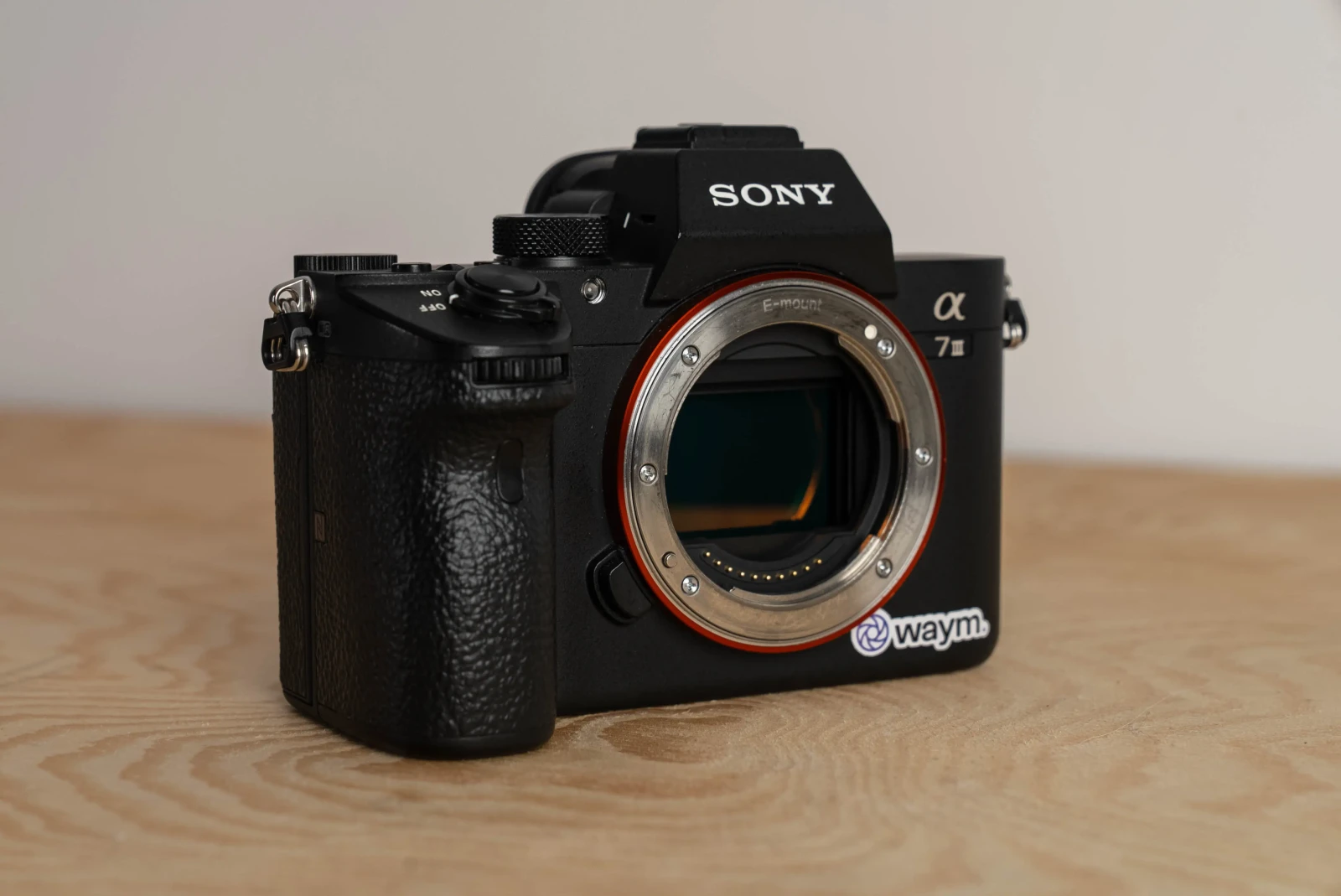 Sony Alpha 7 III (A73) - Photo 1 sur 6