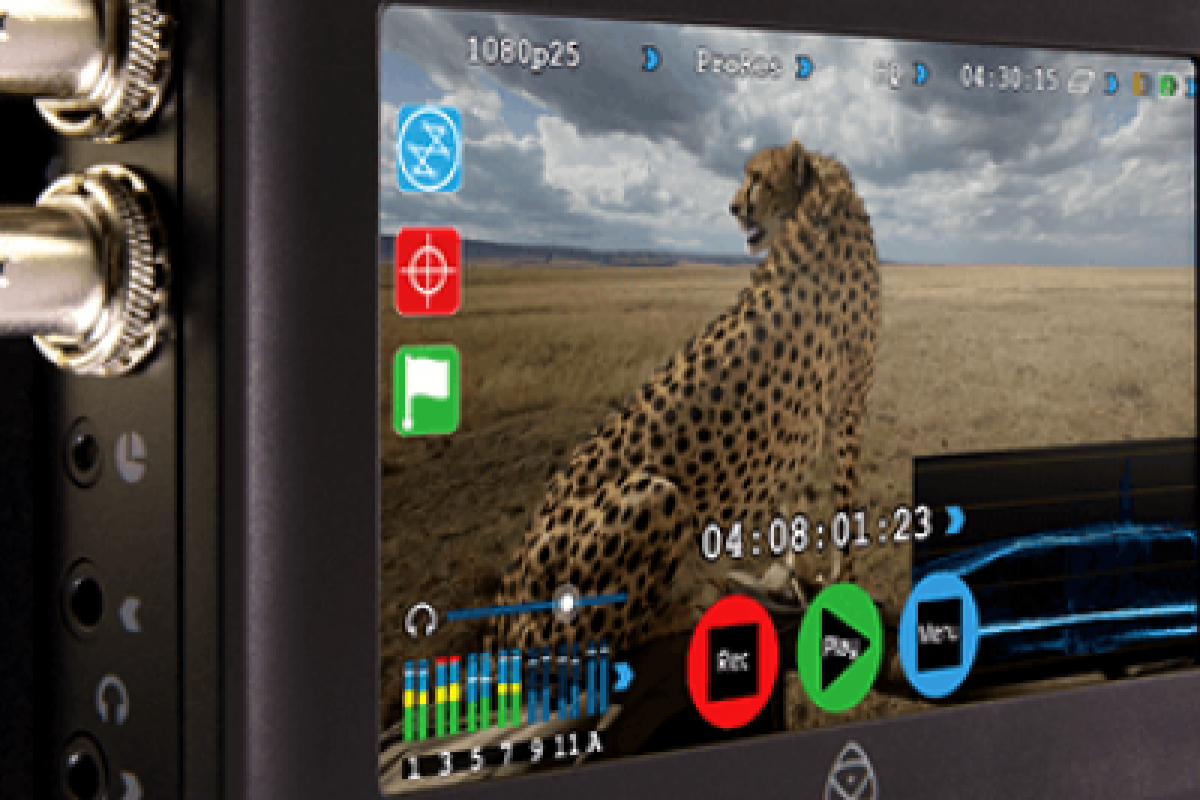 Location Moniteur Enregistreur Atomos Samuraï - Lightyshare