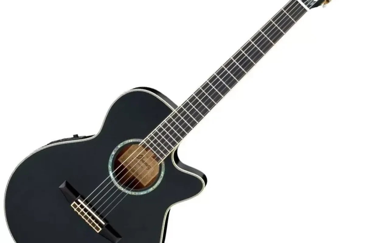 Location IBANEZ AEG10NII-BK - Lightyshare
