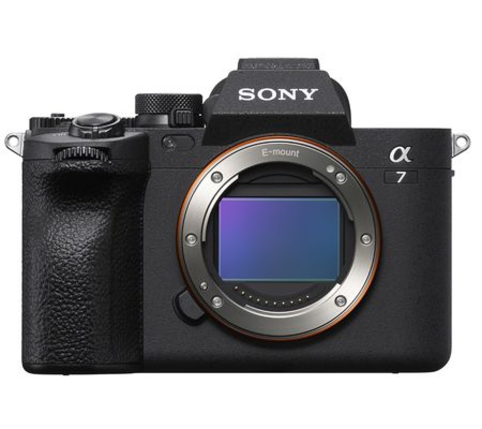 Sony Alpha 7 IV (A74) - Photo 1 sur 2