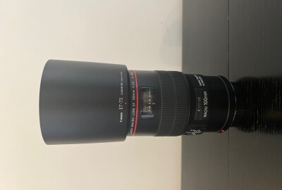 Location Canon EF 100mm f/2.8L Macro IS USM