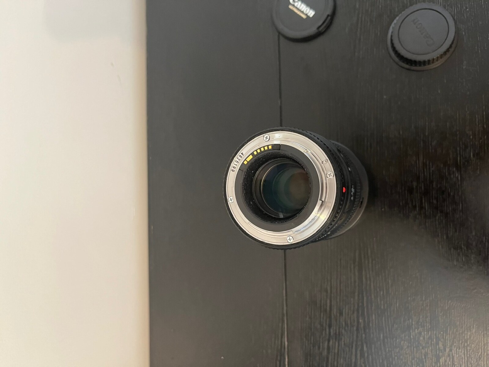 Canon EF 100mm f/2.8L Macro IS USM - Photo 3 sur 5