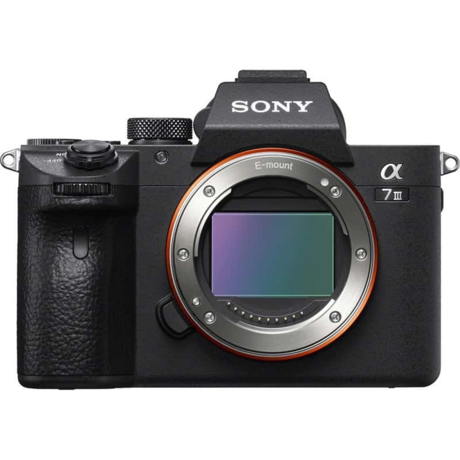 Sony Alpha 7 III (A73) - Photo 1 sur 1