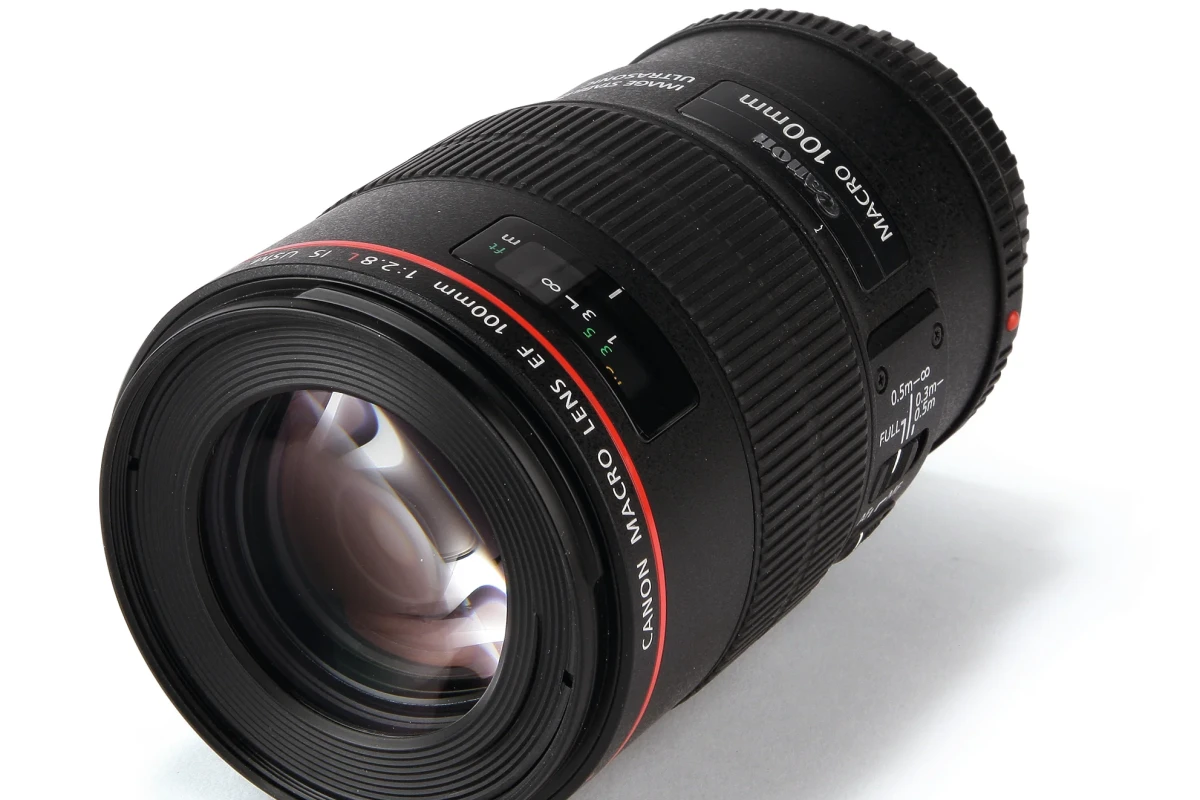 Location Canon Canon EF 100mm f/2.8L Macro IS USM avec Gear Focale - Lightyshare