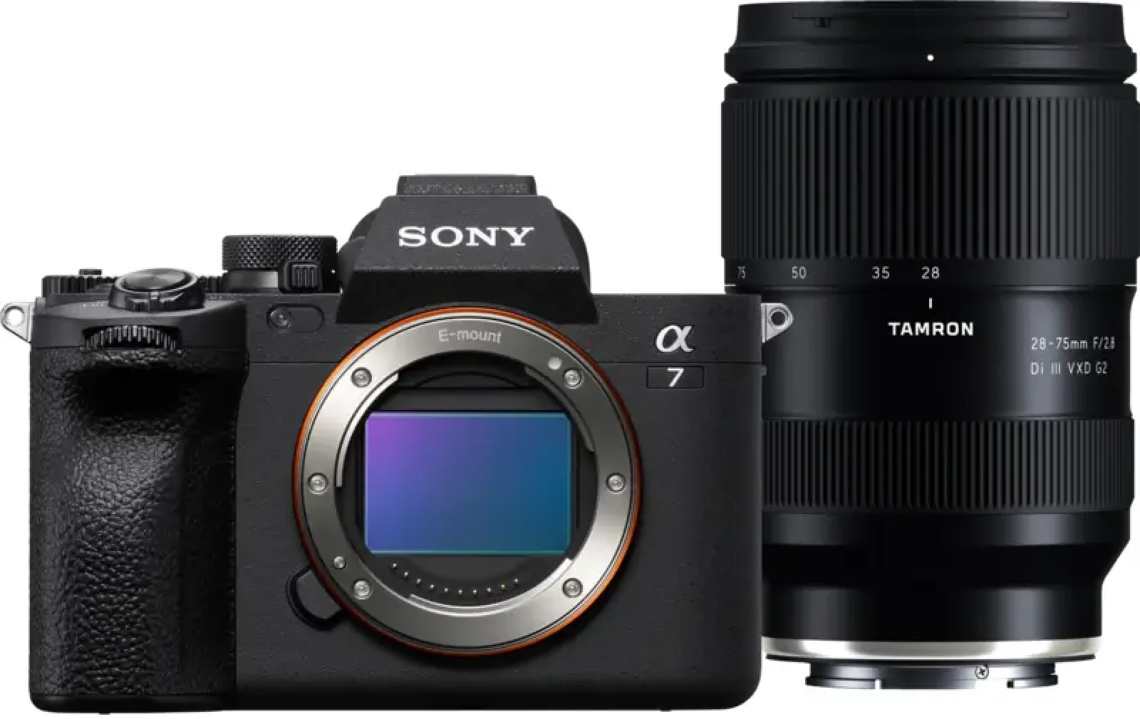 Sony Alpha 7 IV (A74) - Photo 1 sur 1