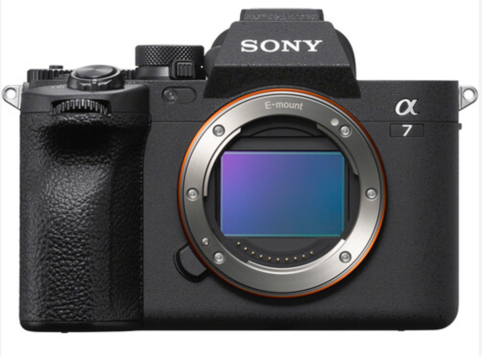 Sony Alpha 7 IV (A74) - Photo 1 sur 1